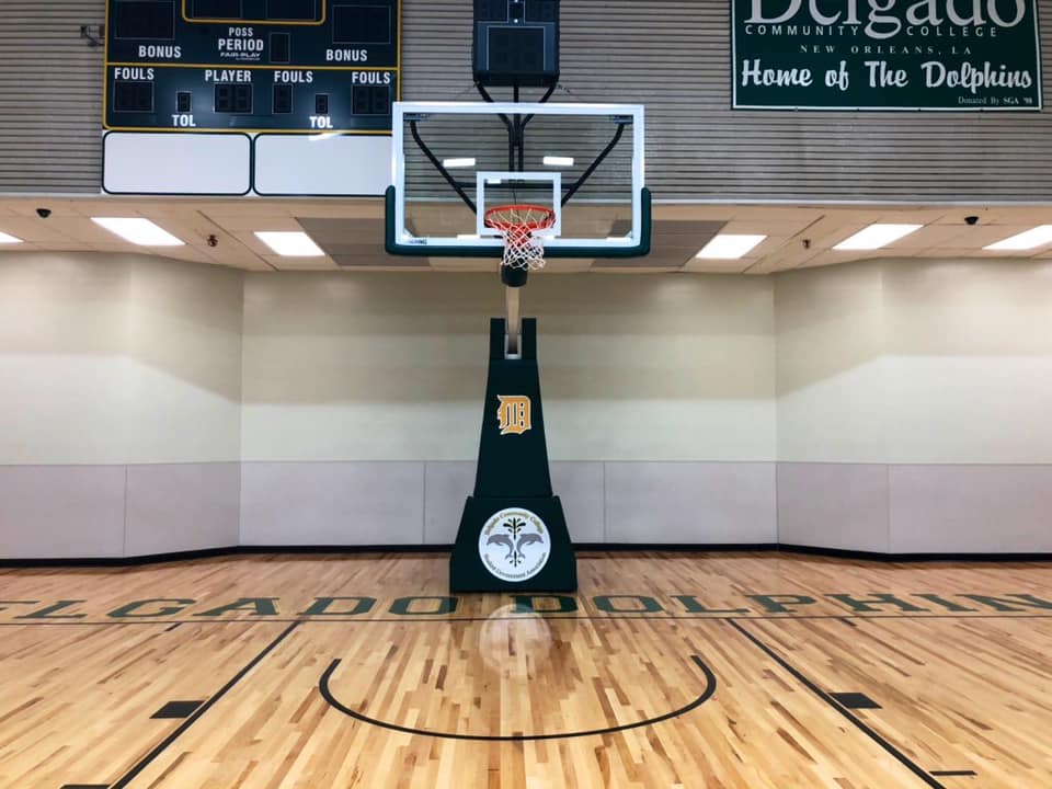 basketball_goal_2019