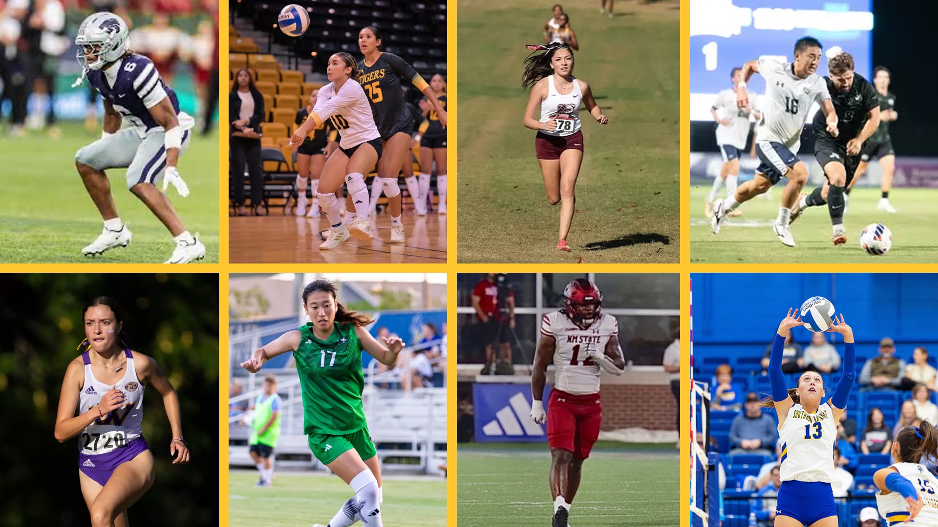 Former Dodge City CC Athletes