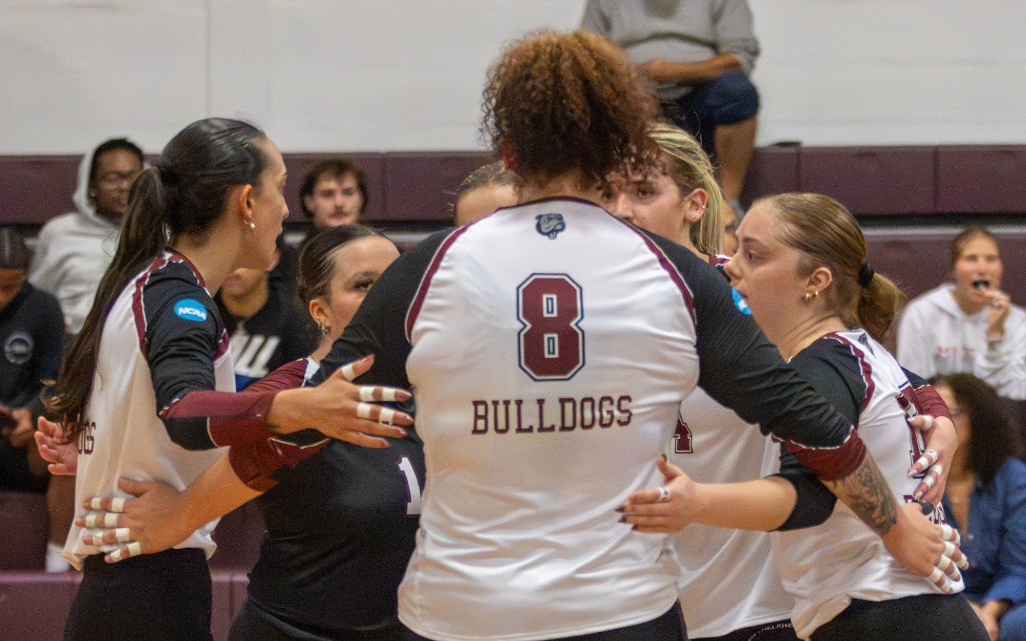 WVB Team1