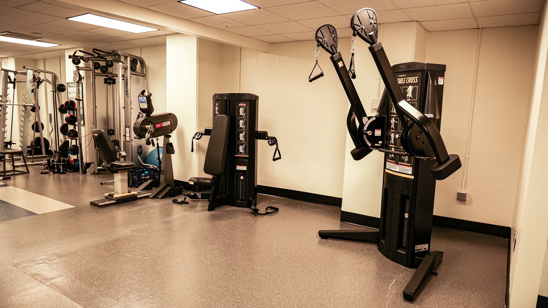 Adaptive Fitness Space