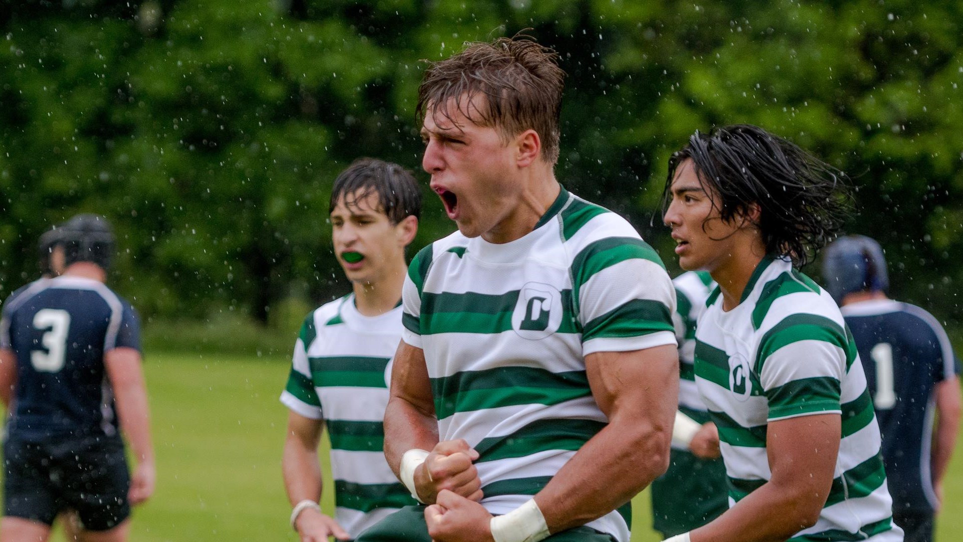 Delbarton Rugby Finishes Undefeated Season Delbarton Athletics