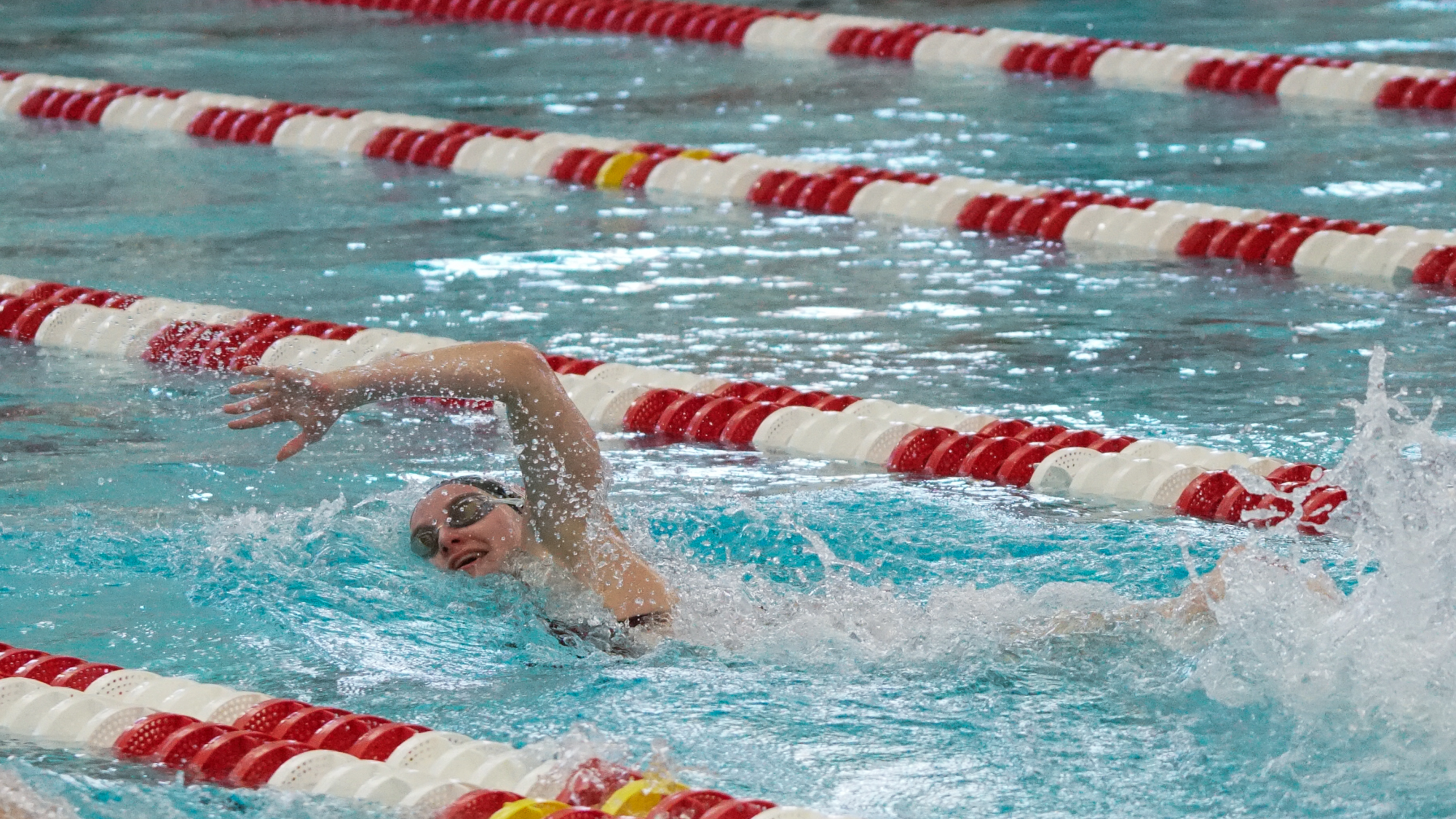 Ferguson swimming the free
