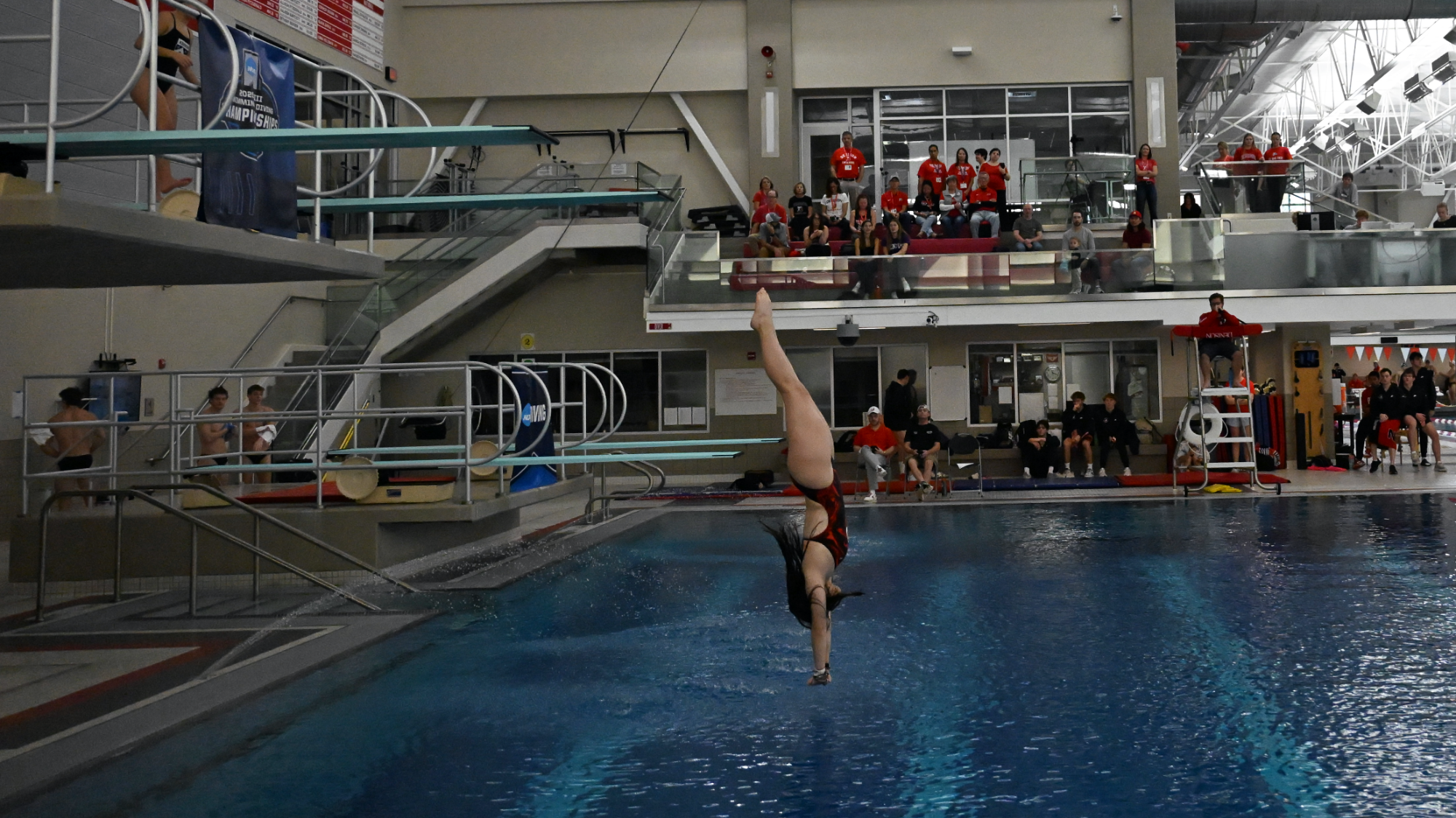 Denison women's divers