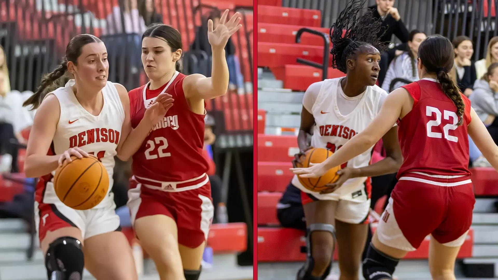 Ada, Anelly Career Nights