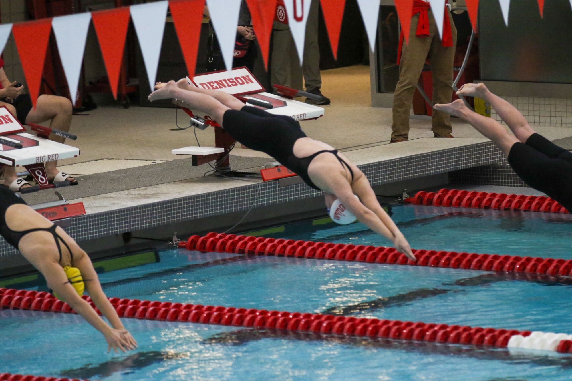 Women's Swimming and Diving