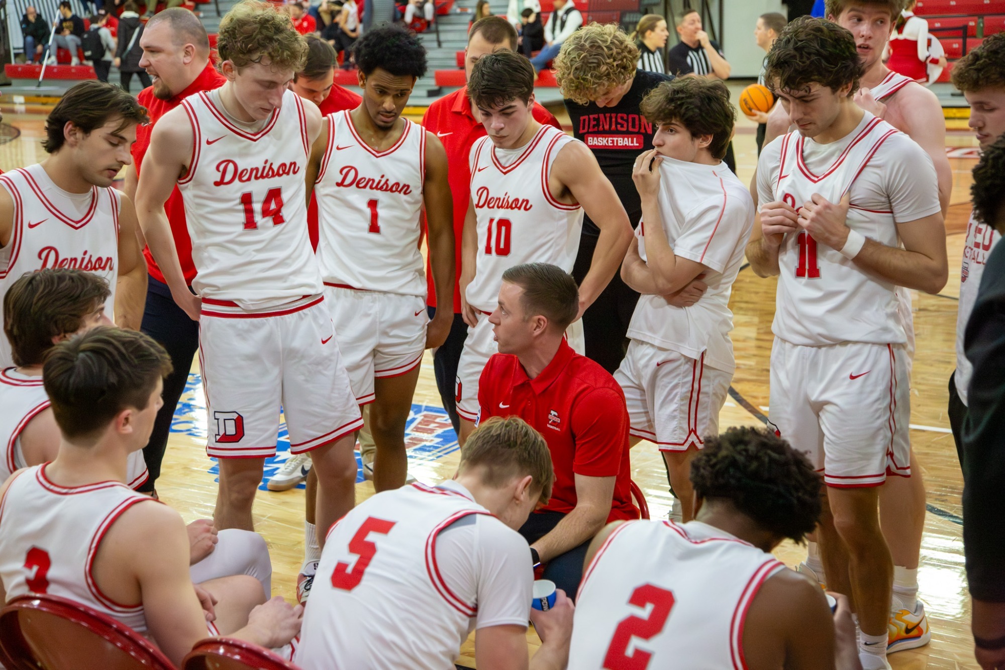 Denison bench during a timeout