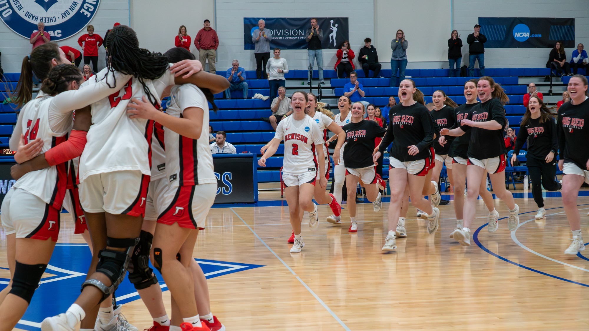 Sweet Sixteen Celebration