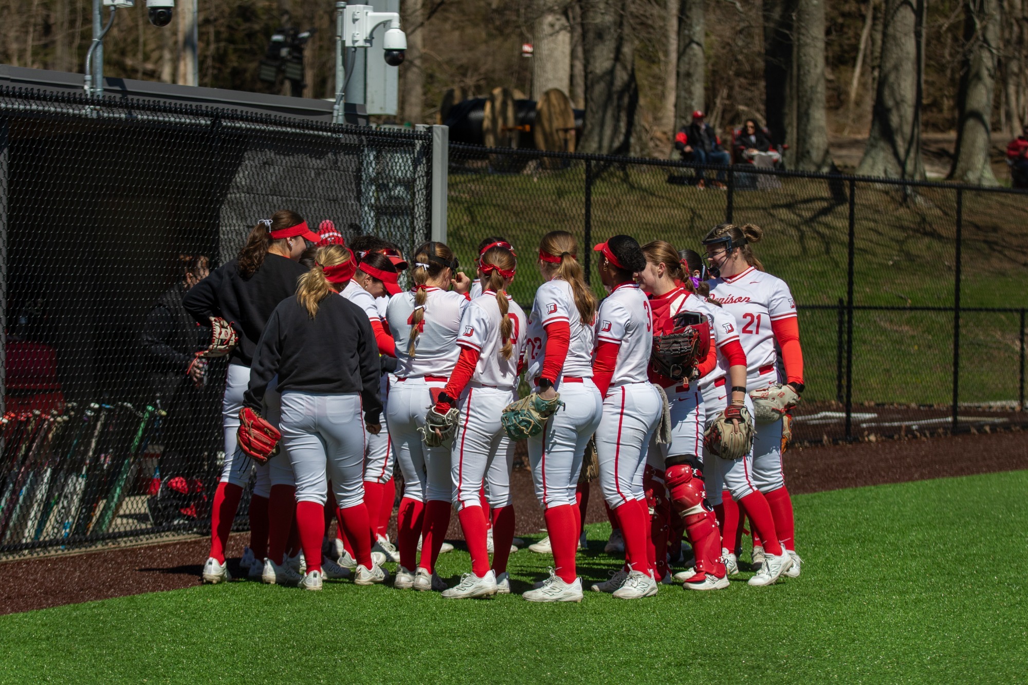 Softball Loss