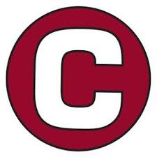 Opponent Logo