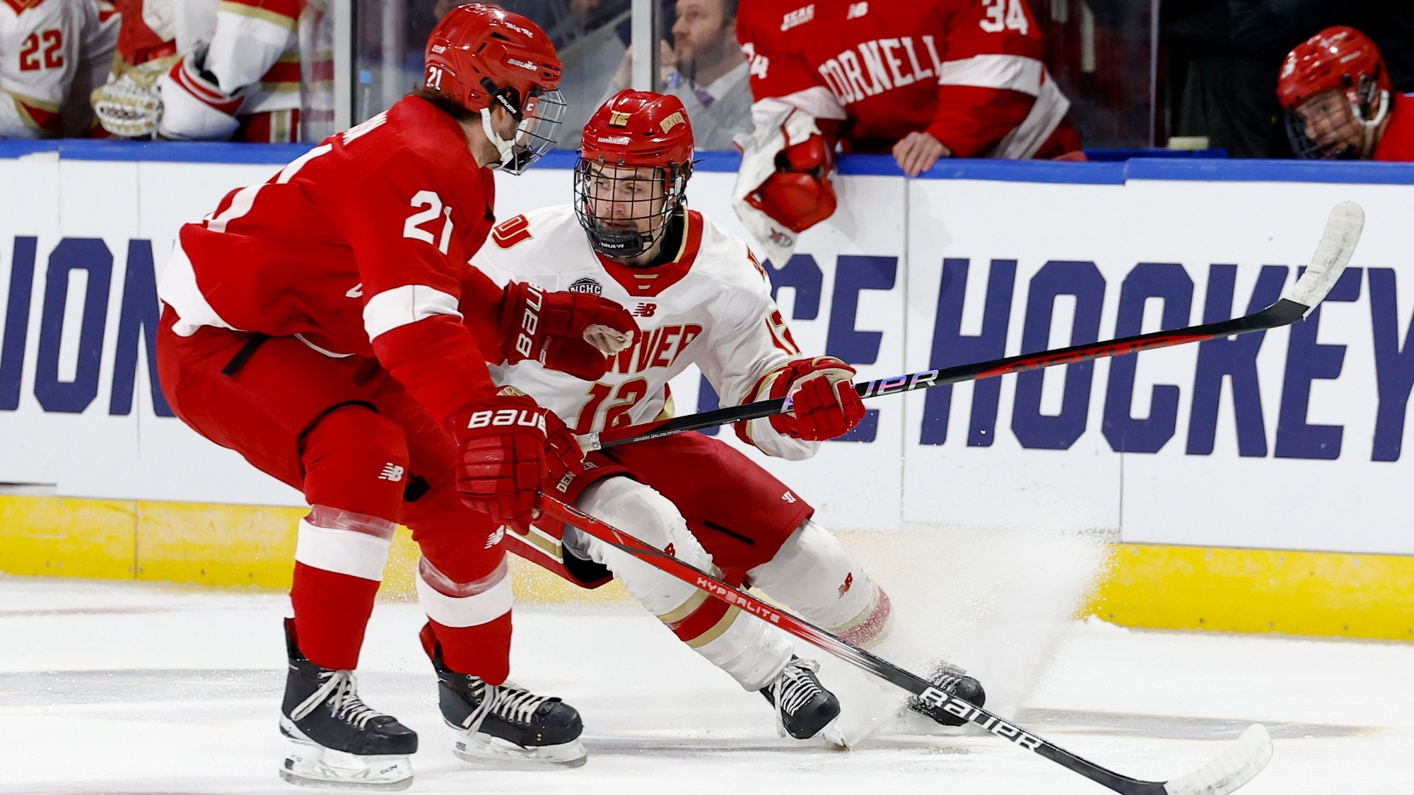 Cornell NCAA Regional Final 2024 March 30 Sam Harris