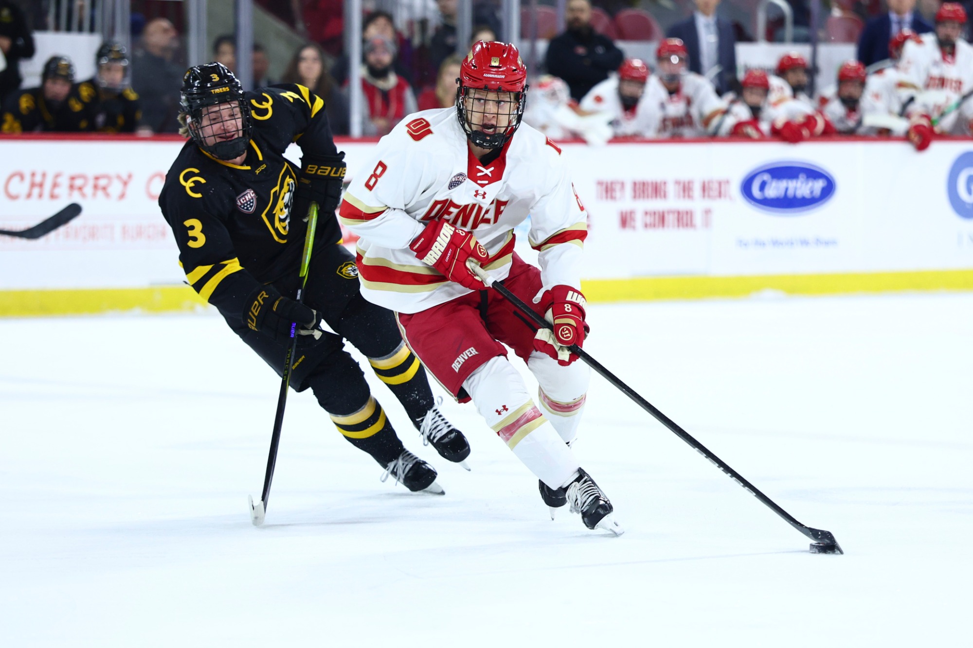 DENVER, COLORADO - NOVEMBER 14: The Denver Pioneers men’s ice hockey team takes on Colorado College at Magness Arena in Denver, Colorado. (Photo by Tyler Schank/Clarkson Creative Photography)