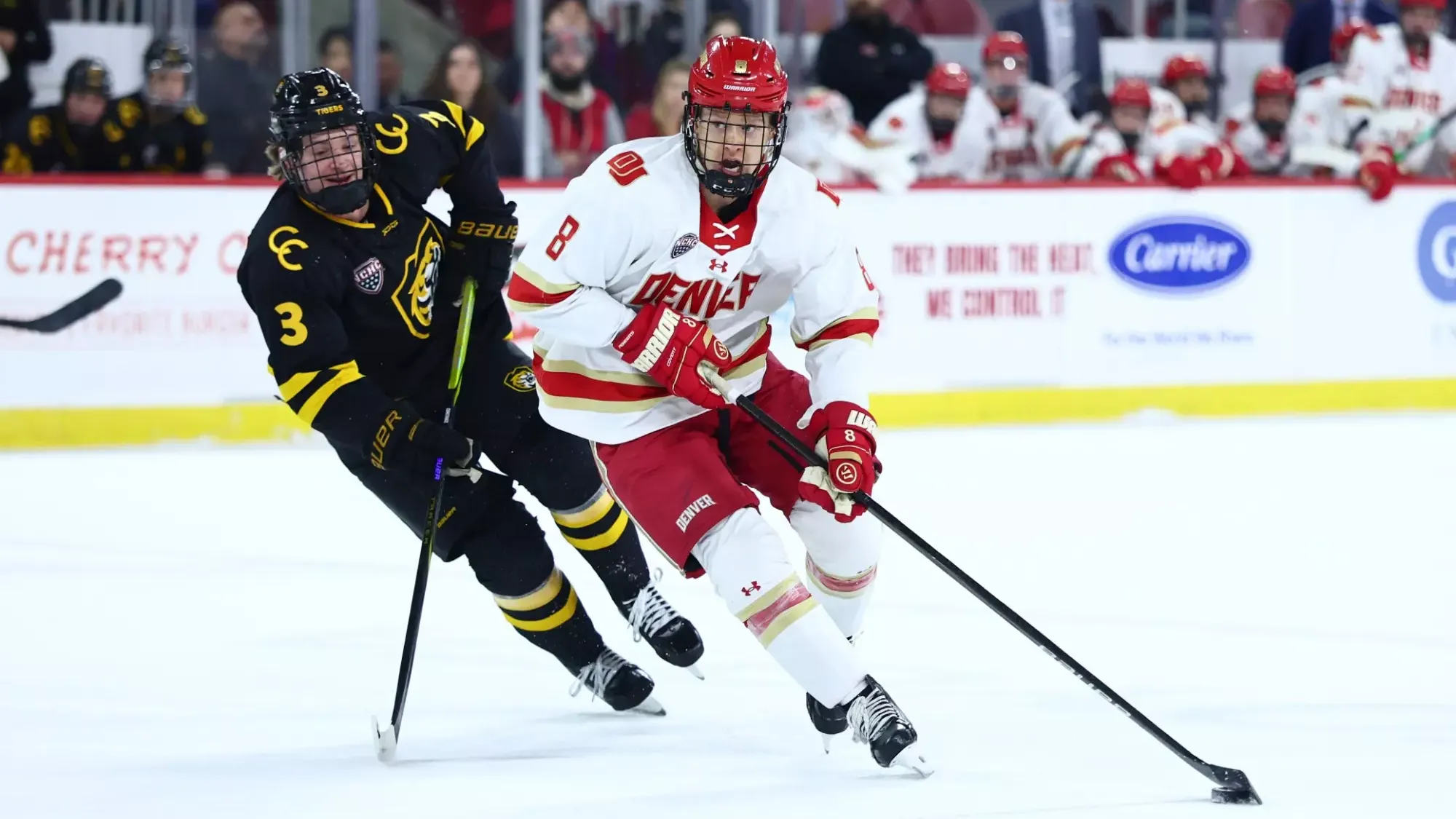 DENVER, COLORADO - NOVEMBER 14: The Denver Pioneers men’s ice hockey team takes on Colorado College at Magness Arena in Denver, Colorado. (Photo by Tyler Schank/Clarkson Creative Photography)