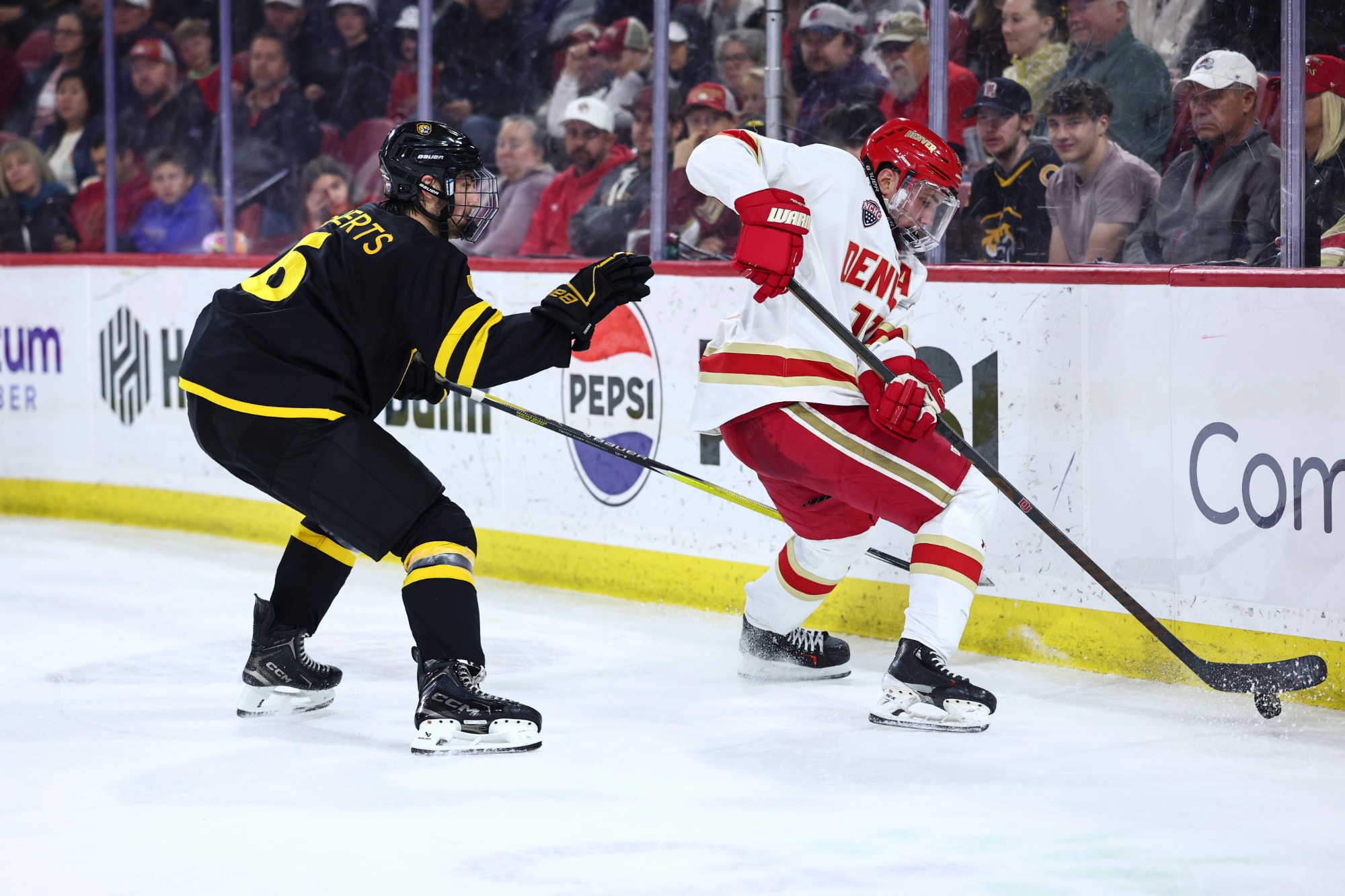 DENVER, COLORADO - NOVEMBER 14: The Denver Pioneers men’s ice hockey team takes on Colorado College at Magness Arena in Denver, Colorado. (Photo by Tyler Schank/Clarkson Creative Photography)