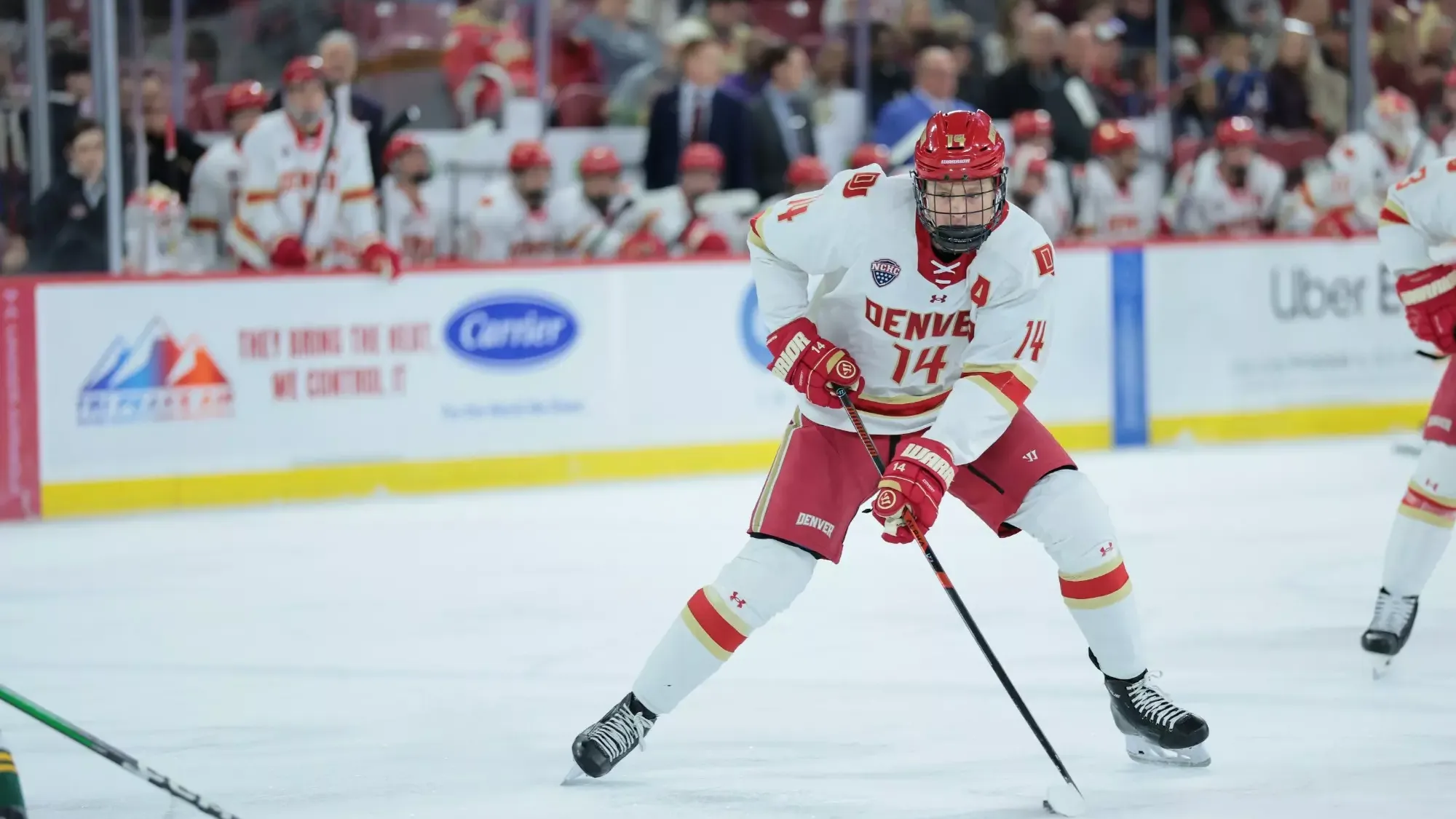 01 NOV 2025: The Denver Pioneers Men’s Hockey Team takes on Alaska Anchorage in Denver, CO. (C. Morgan Engel/Clarkson Creative Photography)