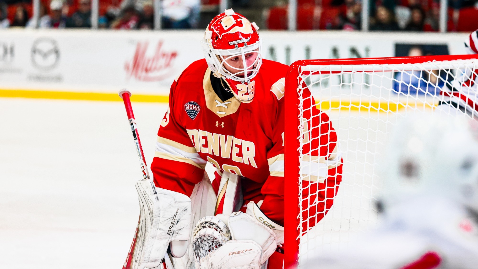 Quentin Miller St. Cloud State 2025 December 12