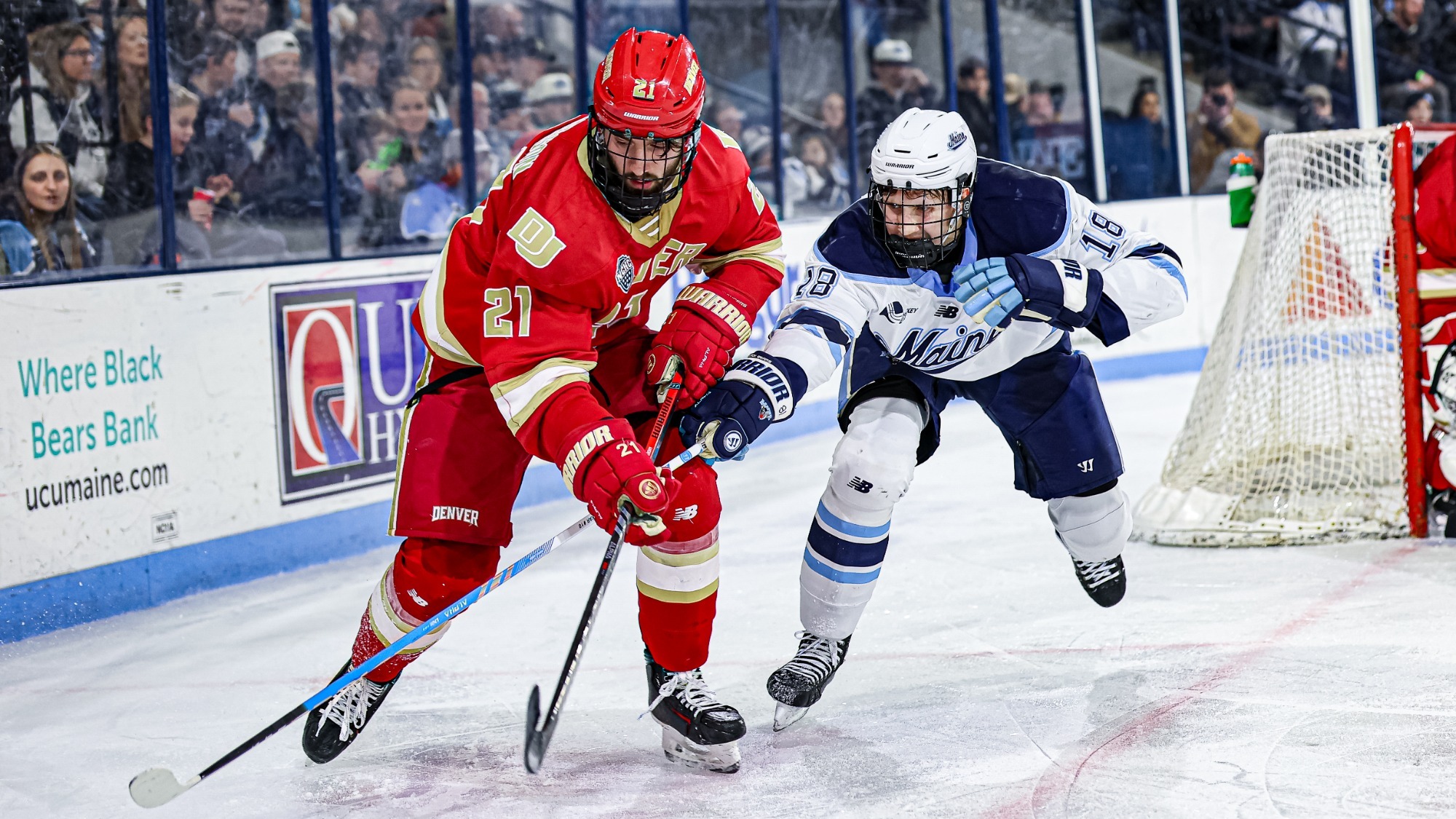 Kent Anderson Maine 2025 January 4