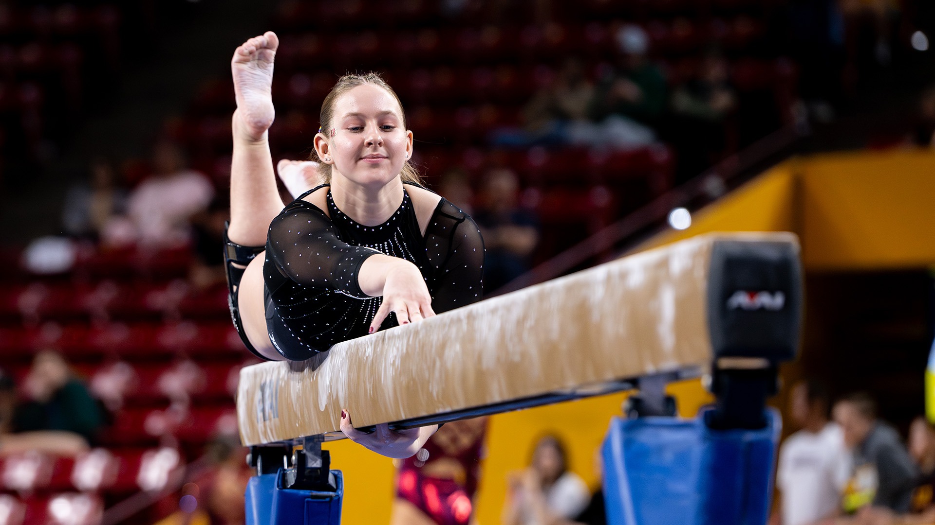 Megan Aamold Beam - February 7, 2026