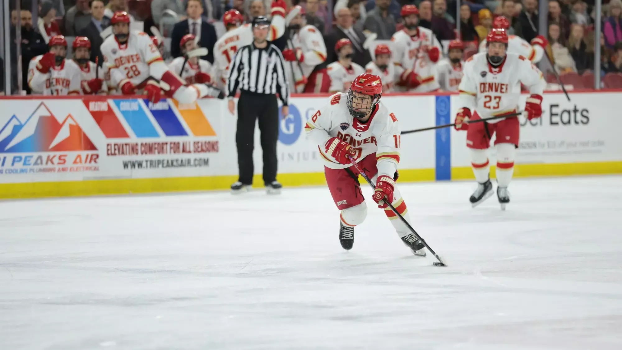 DENVER, COLORADO - FEB 27: The Denver Pioneers men’s ice hockey team takes on Arizona State at Magness Arena in Denver, Colorado. (Photo by C. Morgan Engel/Clarkson Creative Photography)