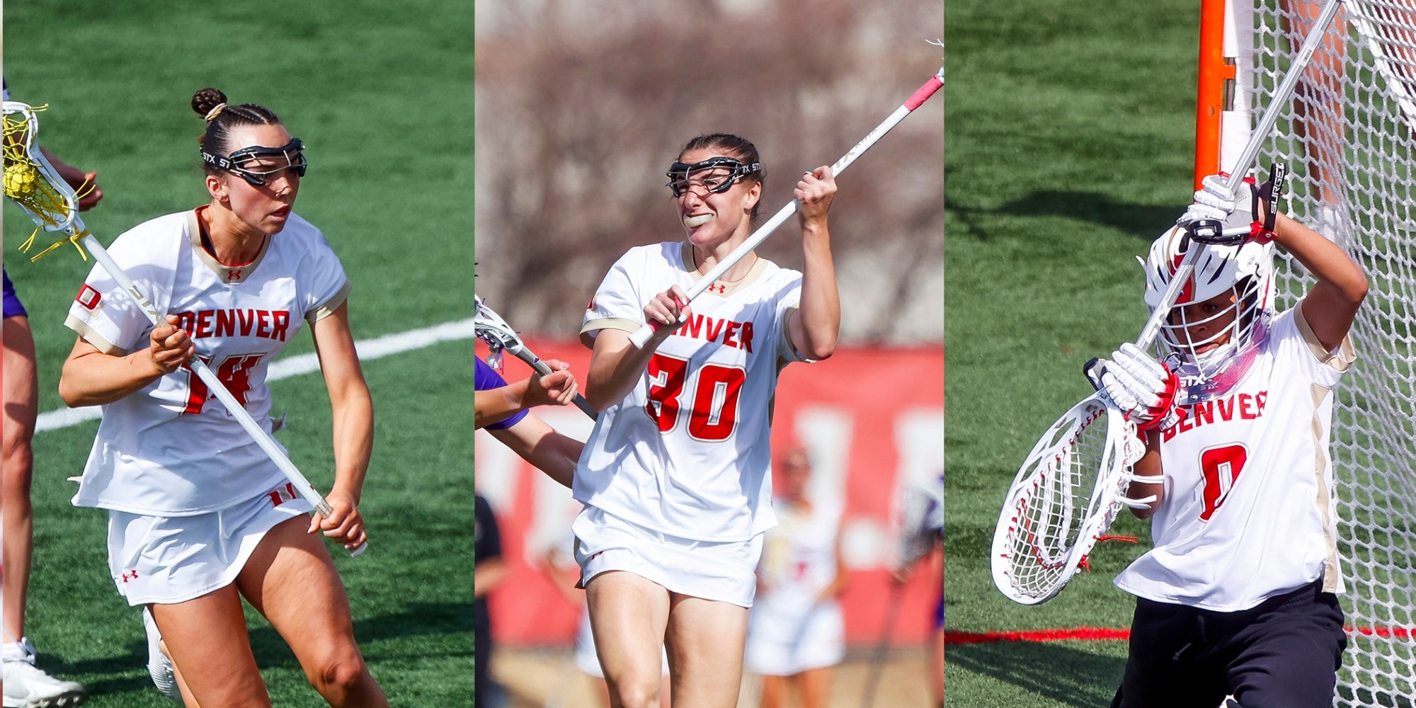 WLAX All Region
