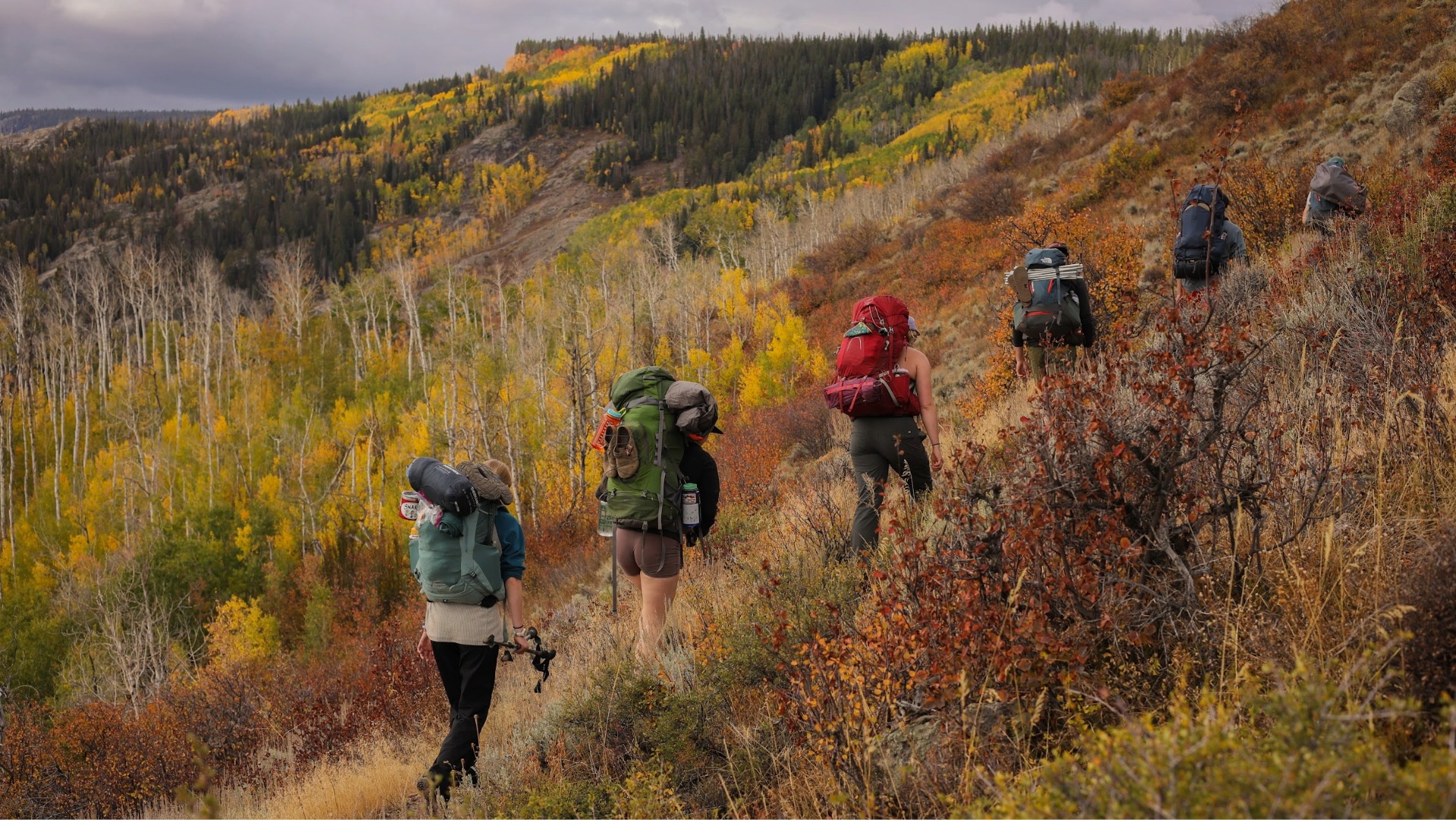 Alpine Club Backpacking