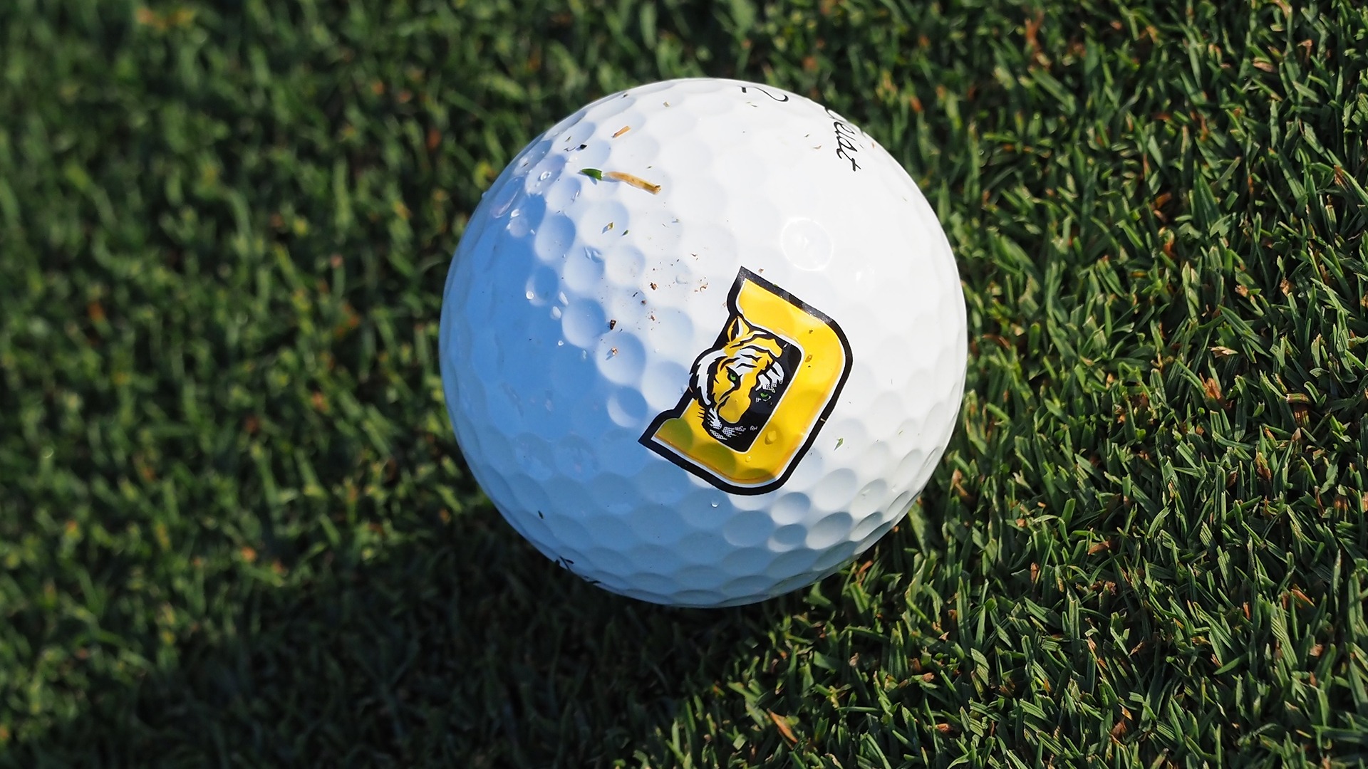 DePauw Golf Ball