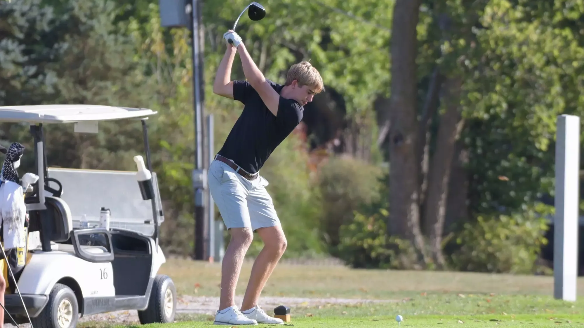 Tanner Austin Tiger Cup 2025