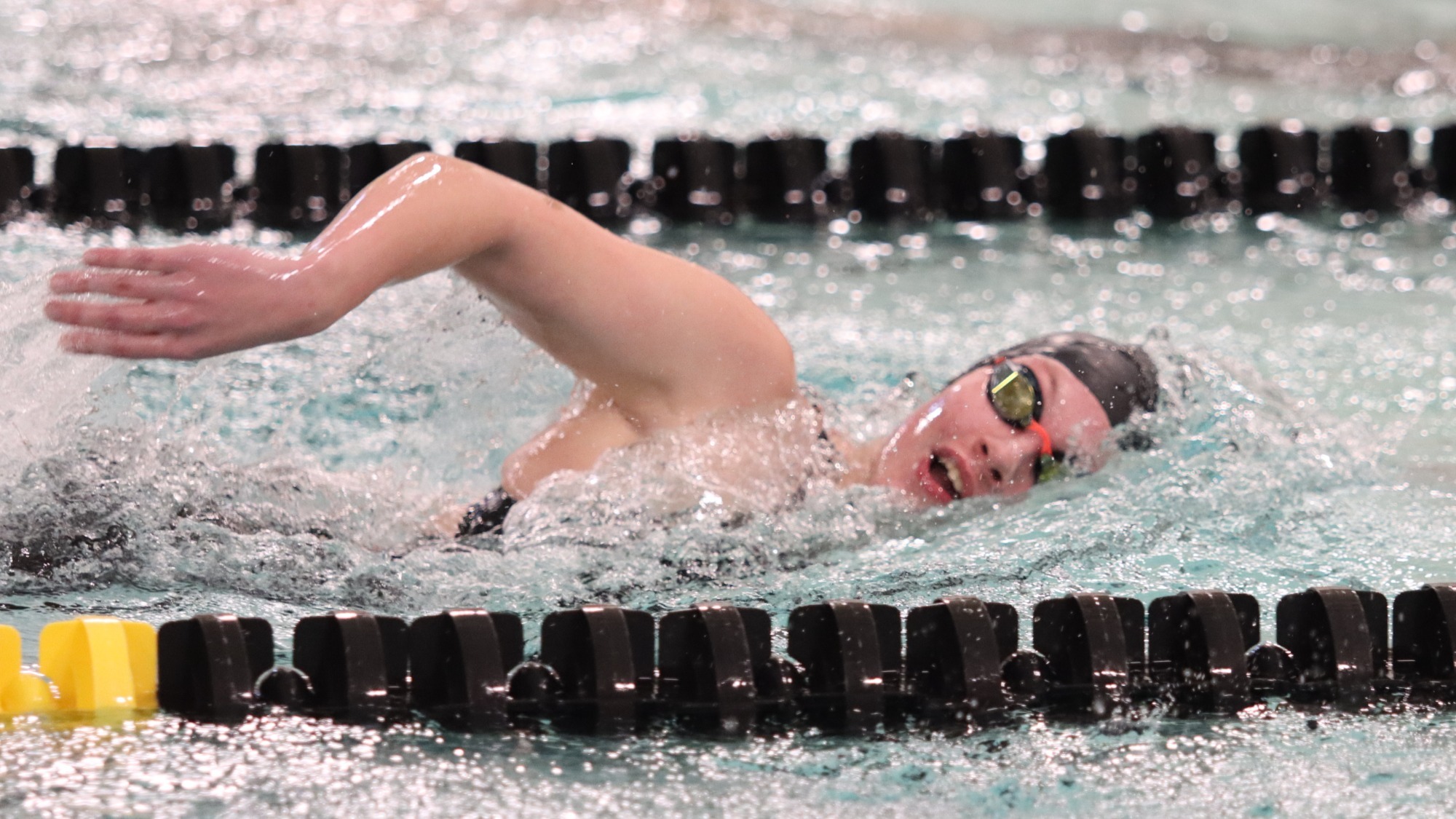 WSwim & Dive 2025-26