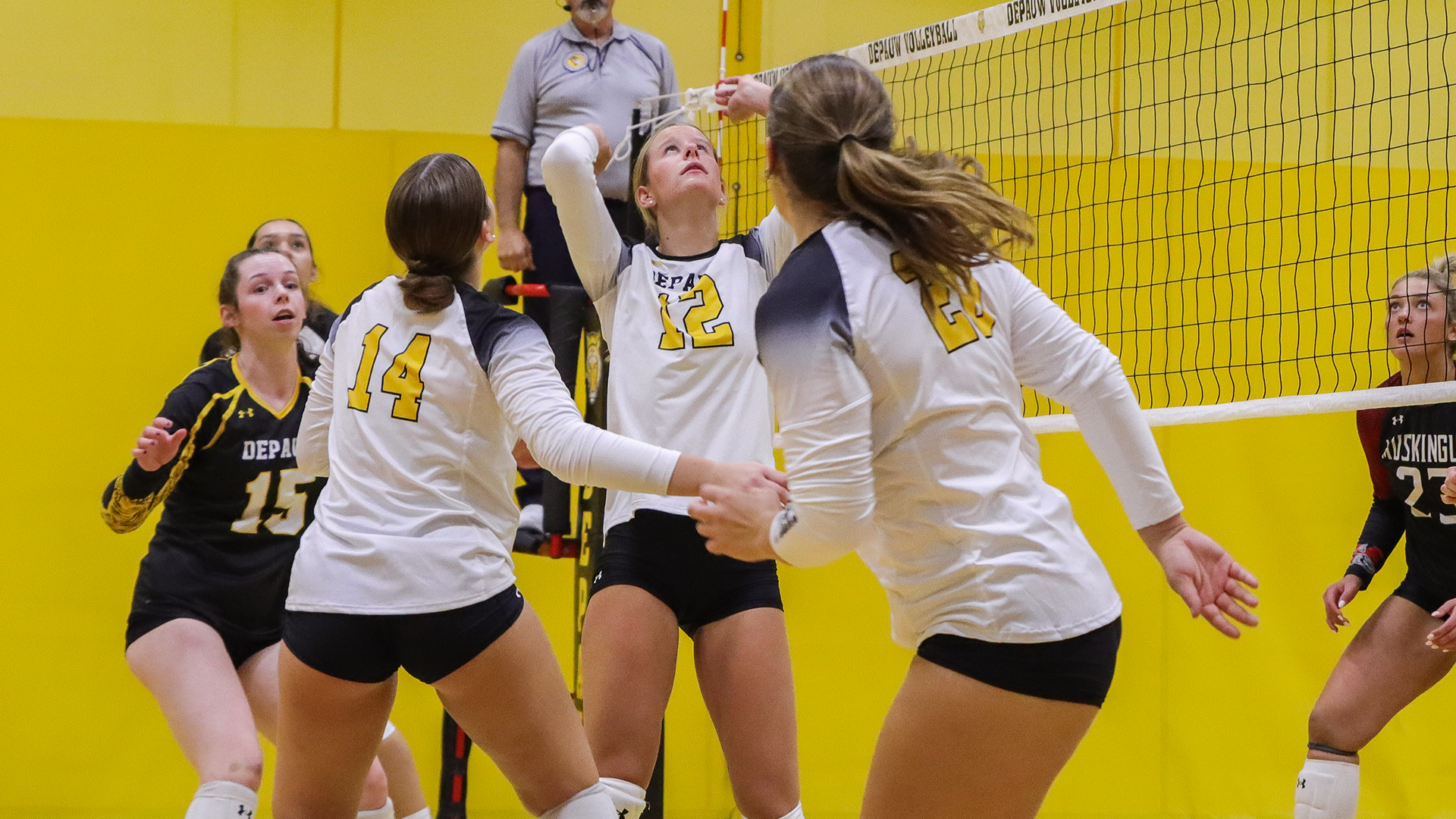 DePauw volleyball action image