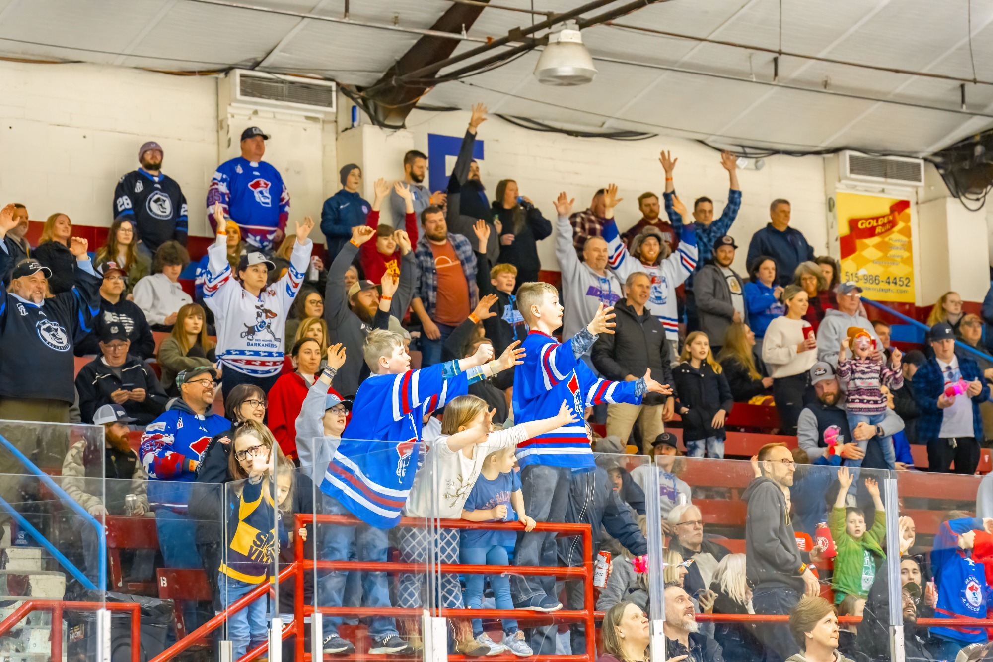 buc arena fans