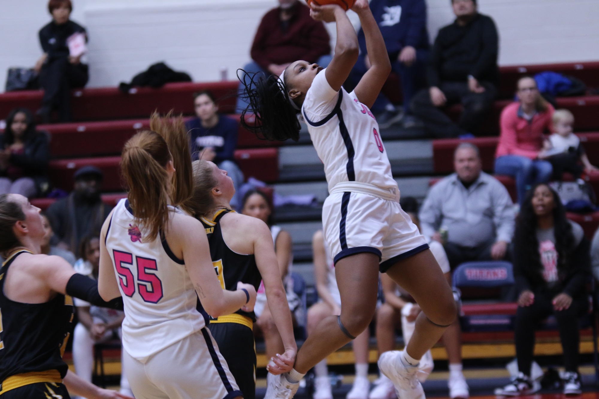 Horizon League Announces Detroit Mercy 202324 HLWBB Schedule