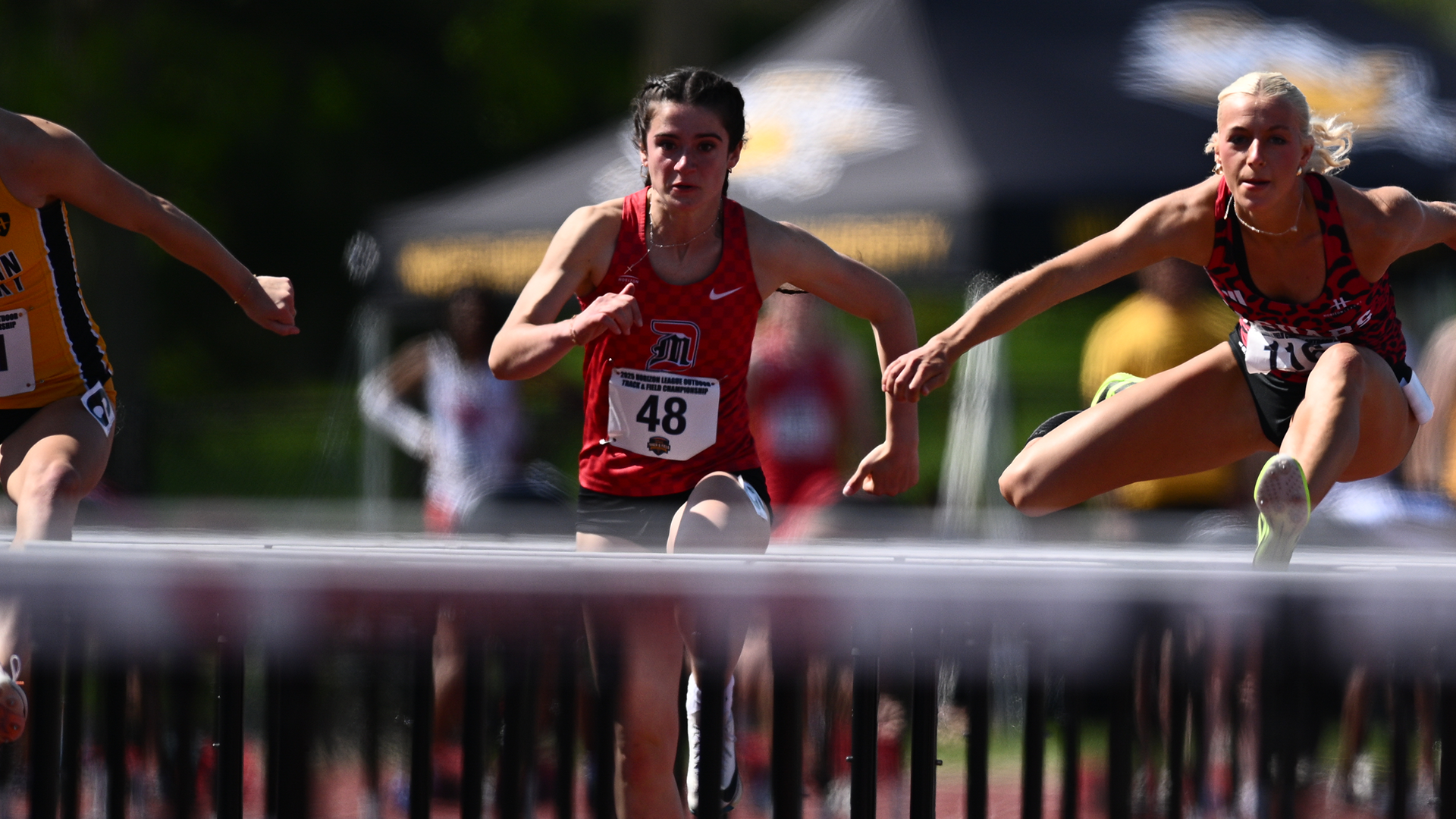 A-Gabriella Gashaj-25 HL Out