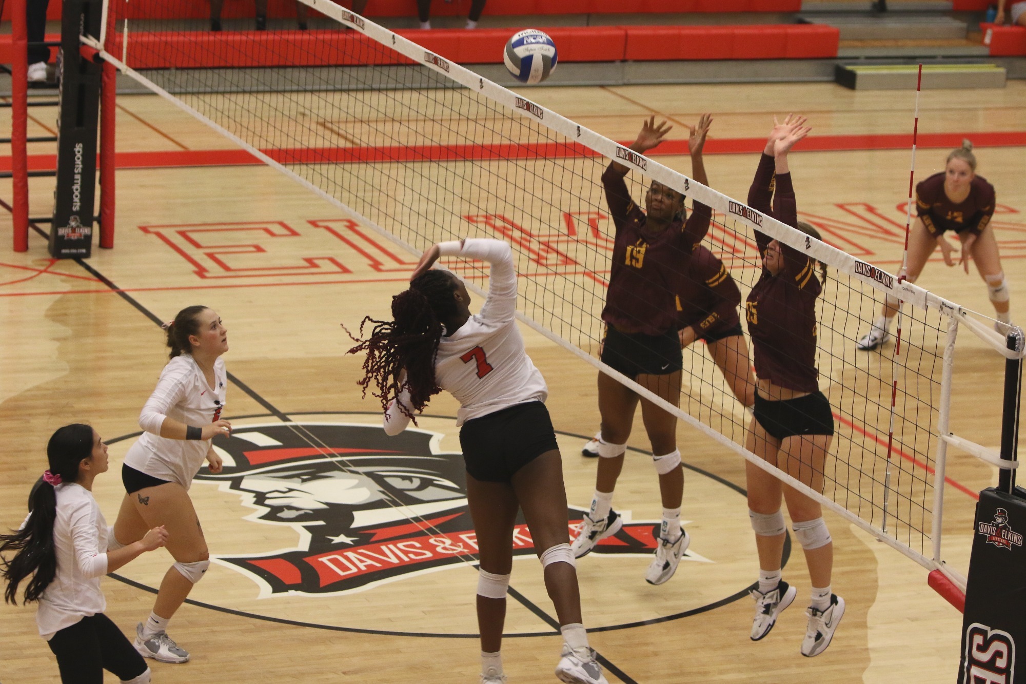 Volleyball Competes With MEC North's Top Teams Davis and Elkins