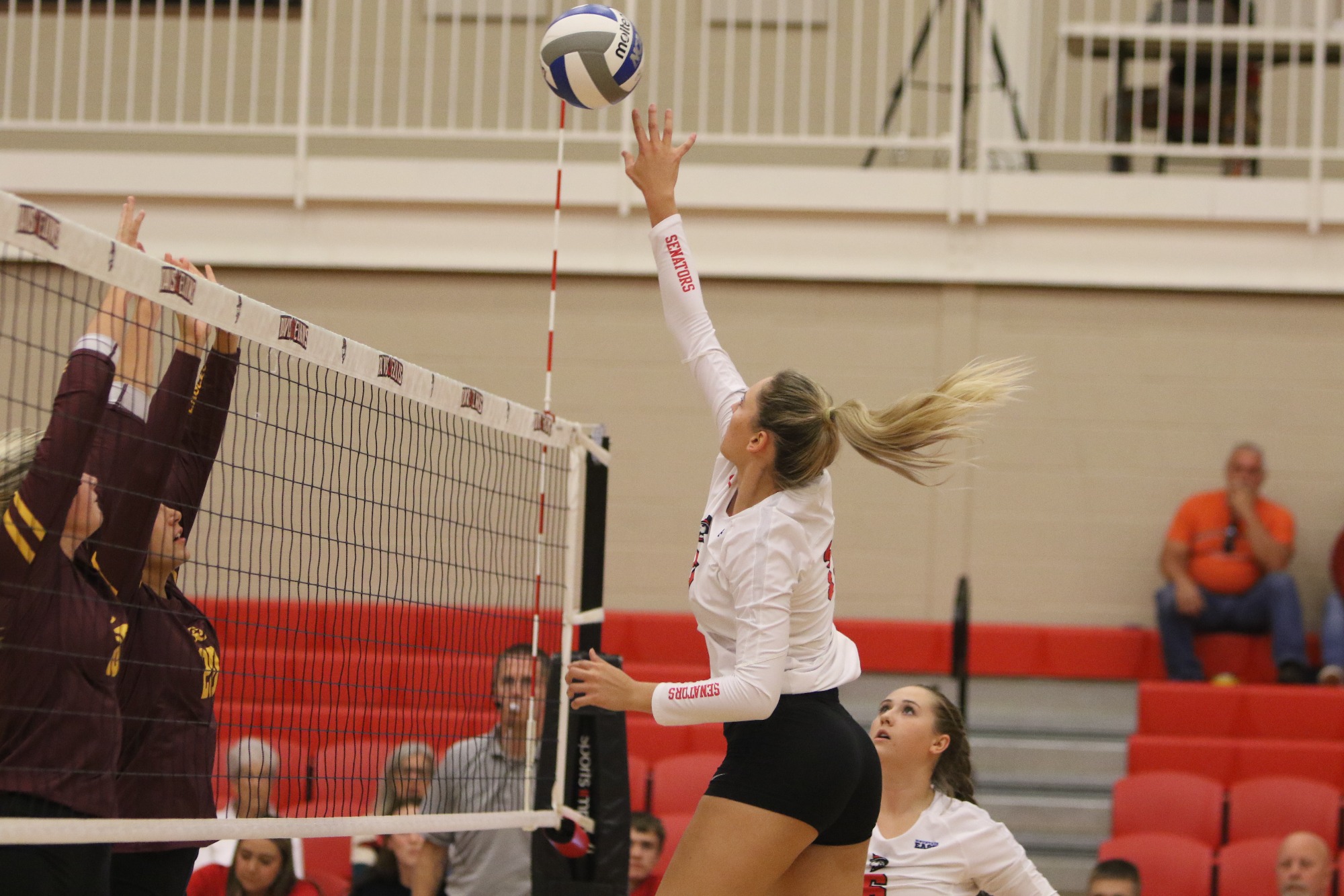 D&E Volleyball Announces 2021 Schedule Davis and Elkins College Athletics