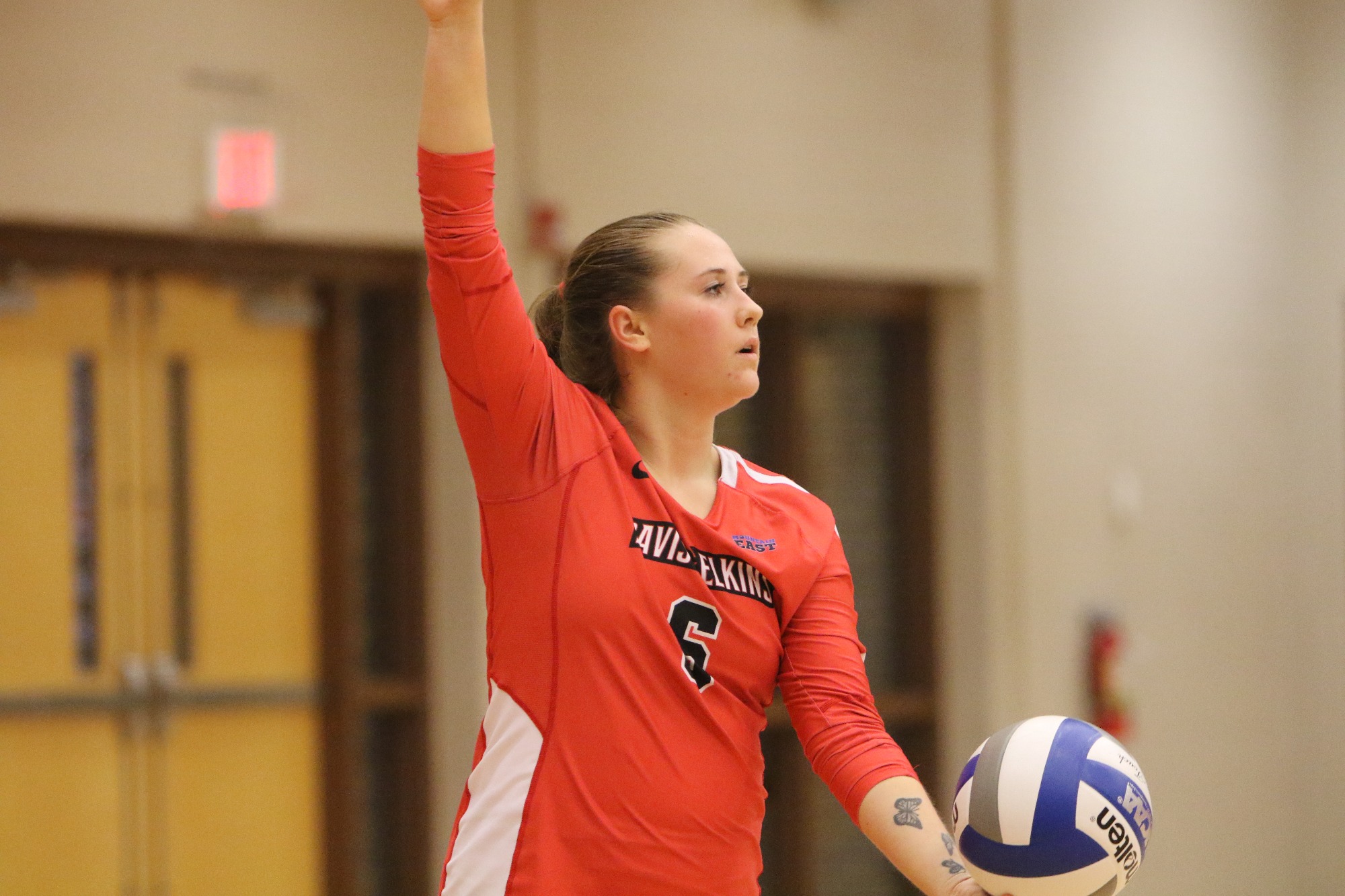 D&E Volleyball Announces 2021 Schedule Davis and Elkins College Athletics