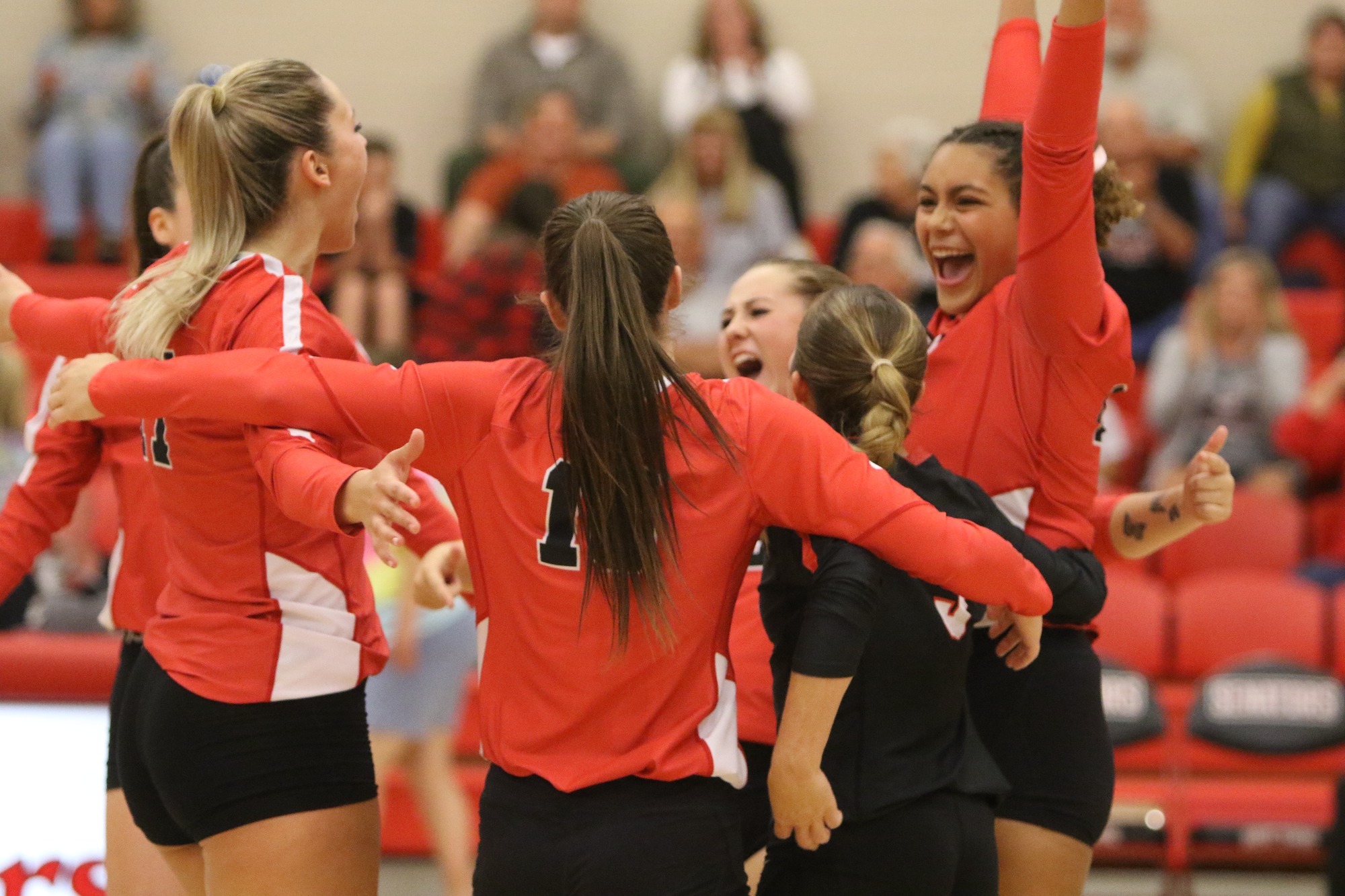 D&E Volleyball Wins at Home in Straight Sets Davis and Elkins College