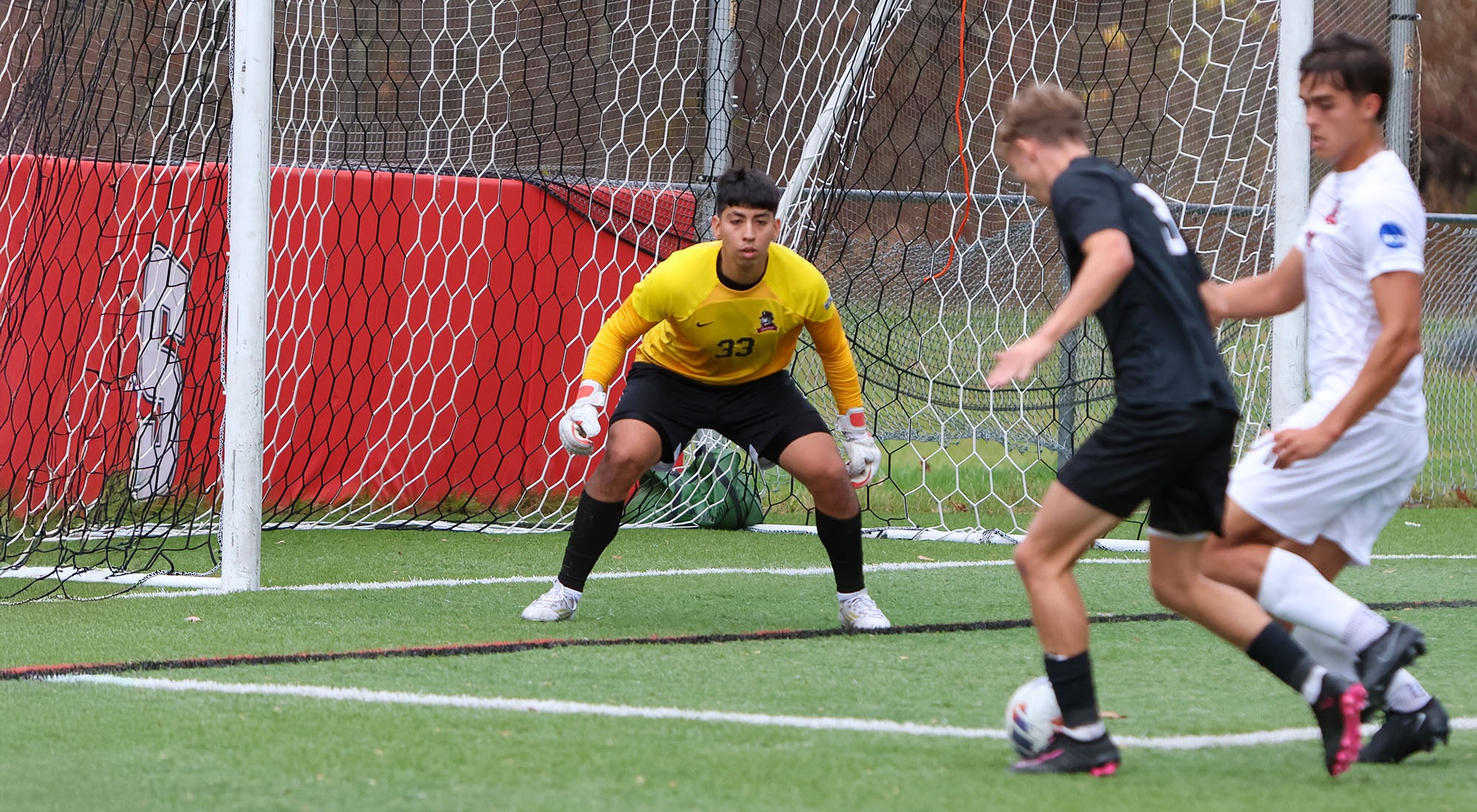 Dante Ordones stands in net ready to make a save