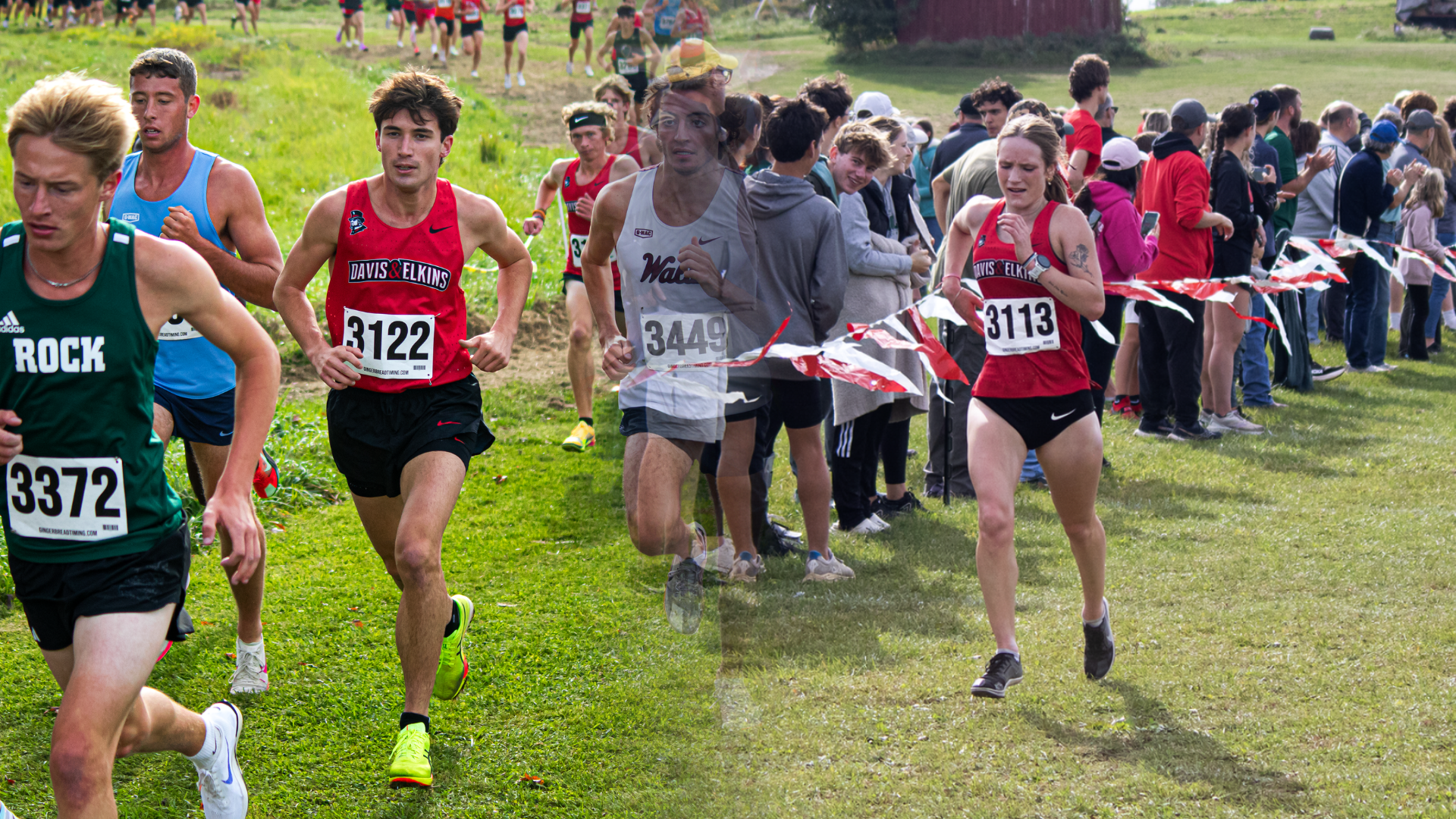 xc