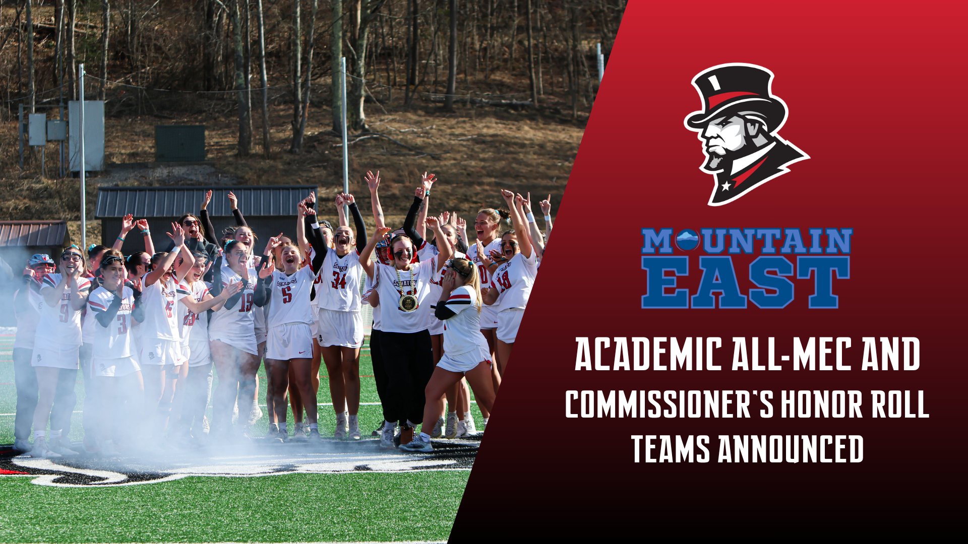 MEC ACADEMIC
