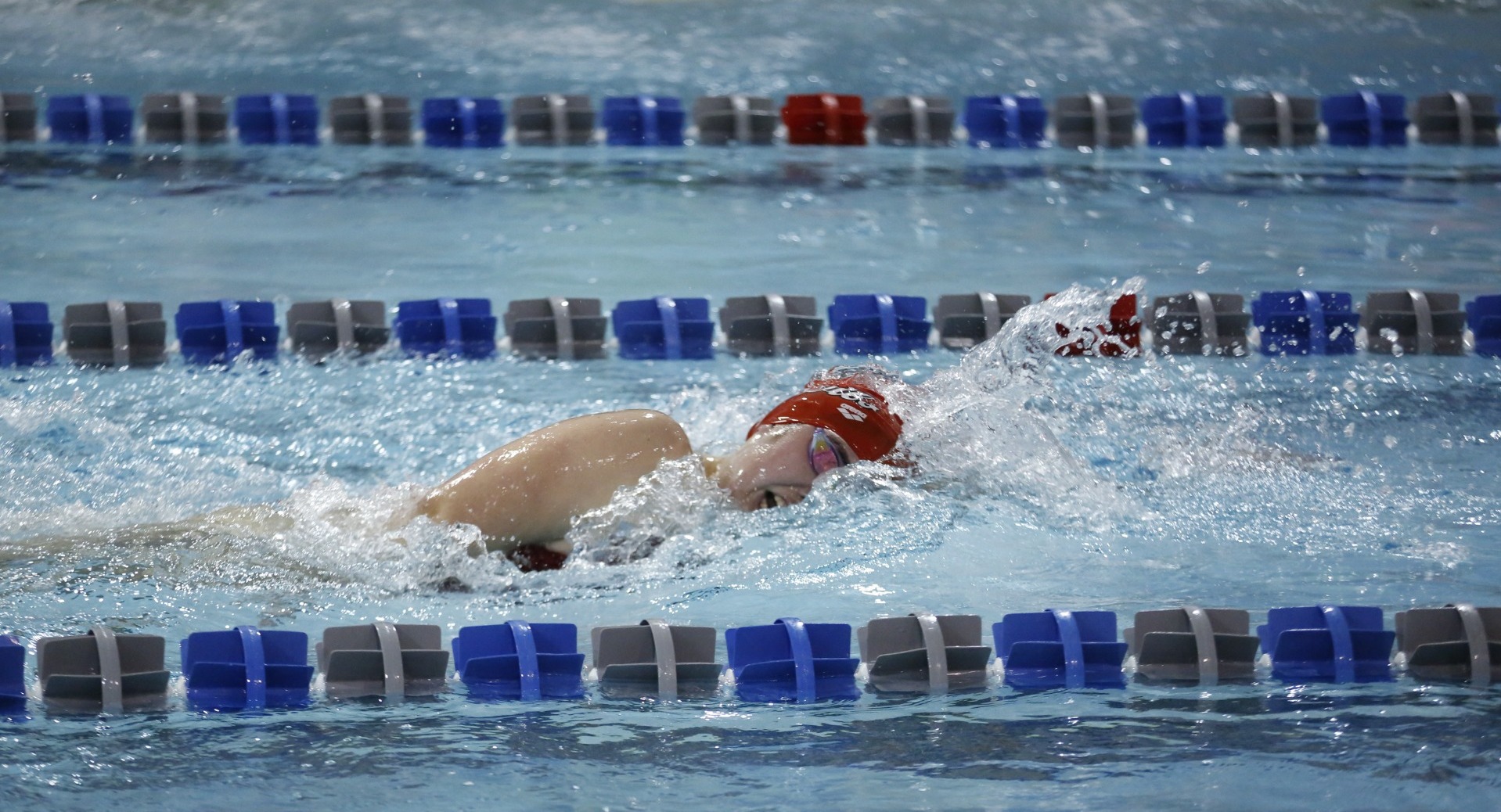 Women's swimmer against Elizabethtown College on Friday night (11-15-24)