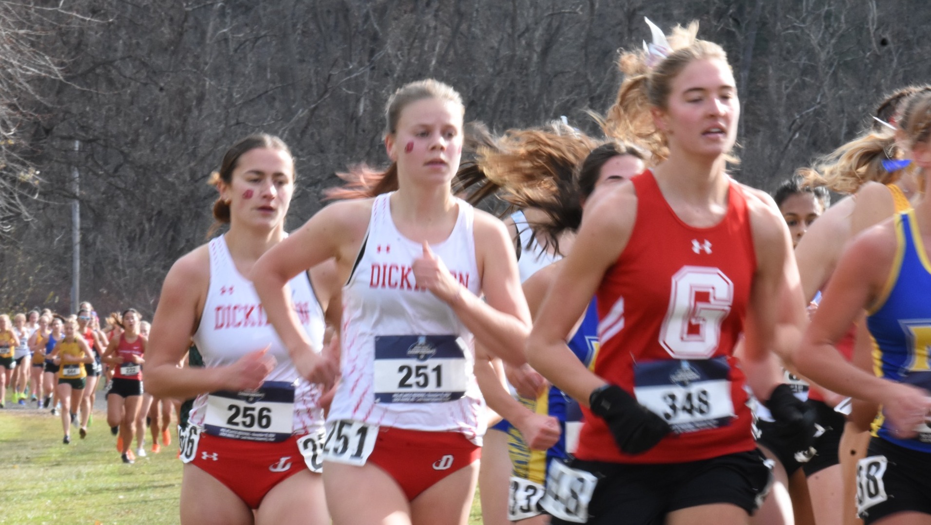 Pair of Dickinson women's cross country athletes at the NCAA Mid-Atlantic Regional on 11-16-24
