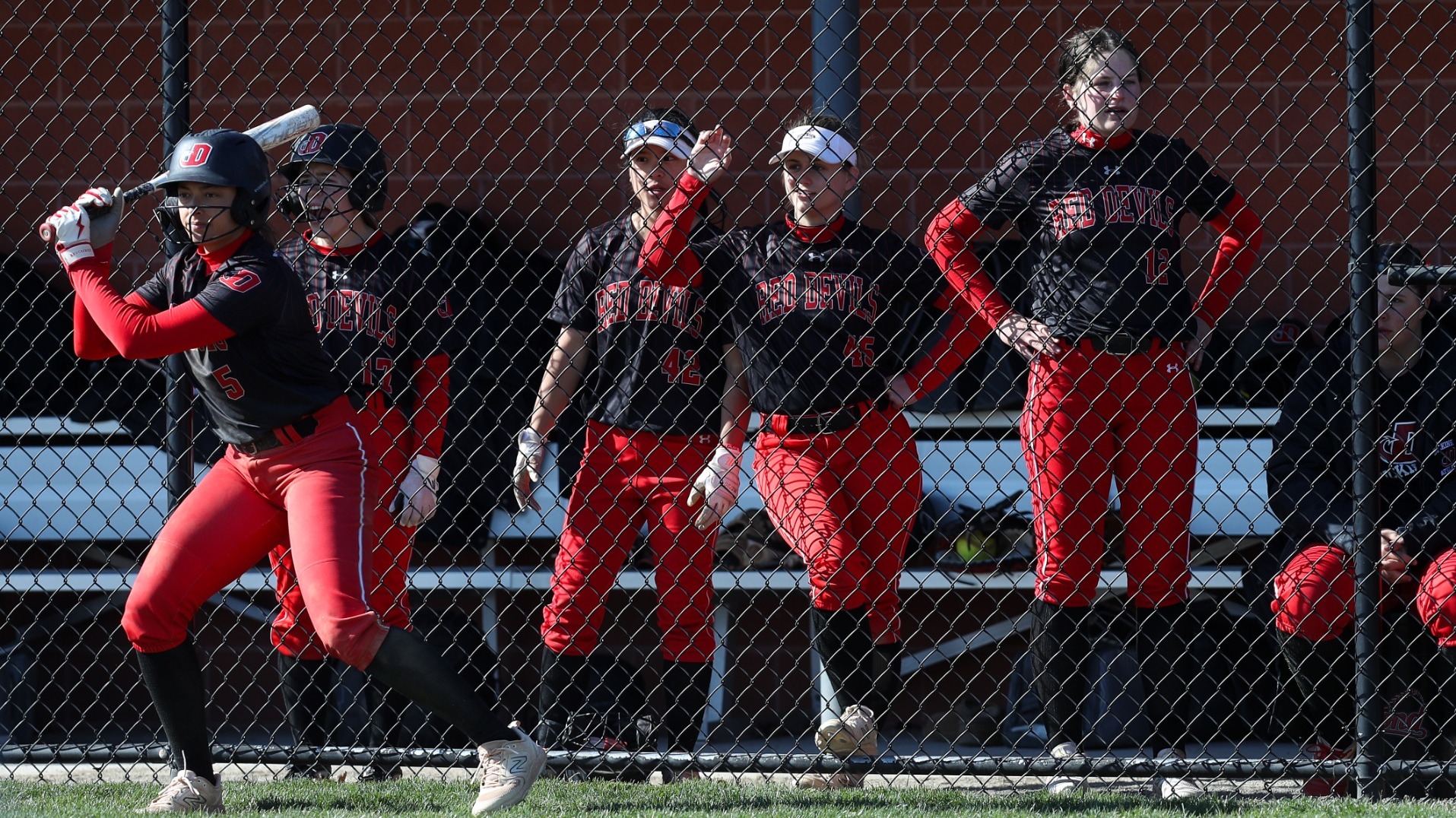 A group of Dickinson softball players standing along the dugout fence against Alvernia University on 3-21-24