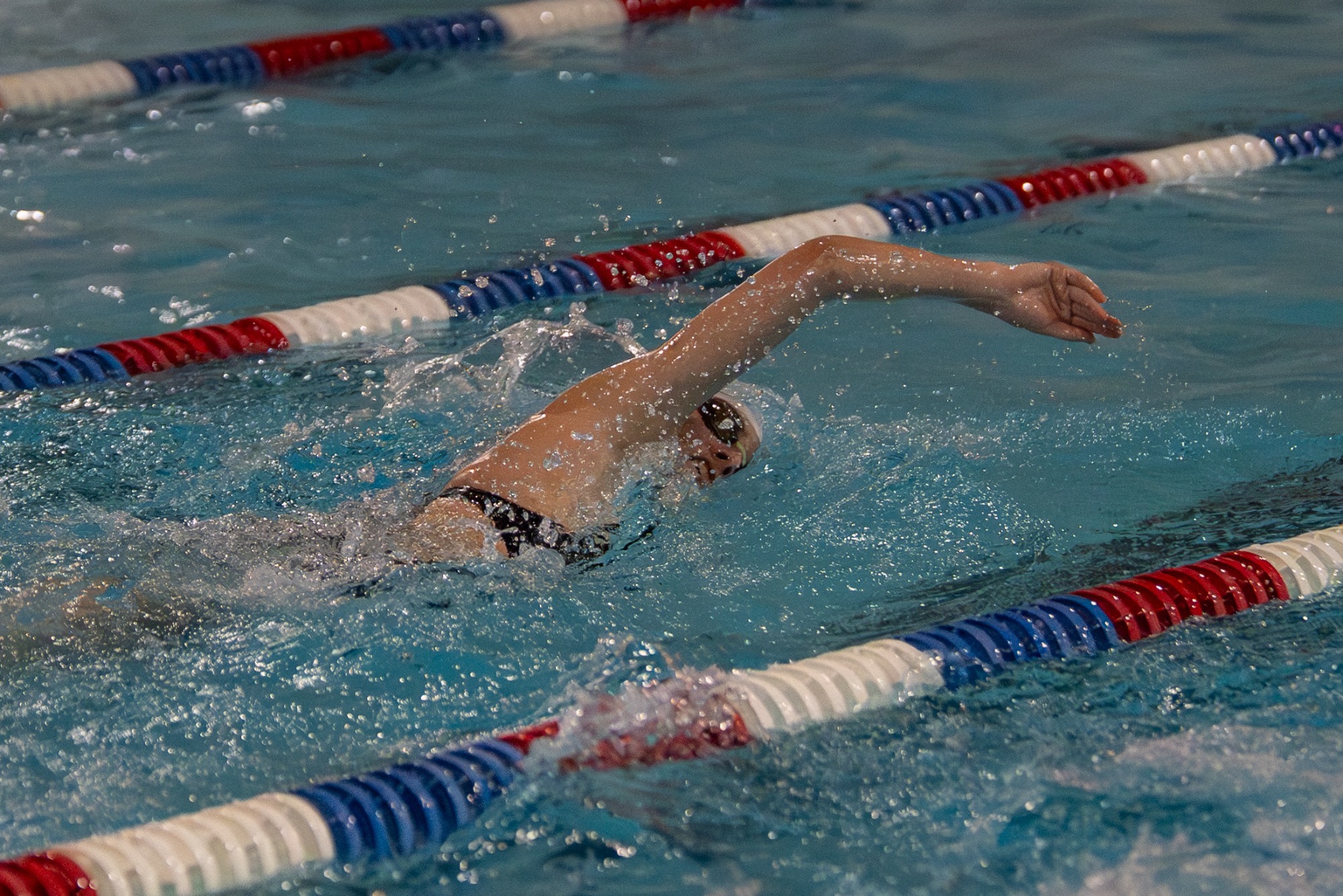 Dickinson women's swimmer competes 