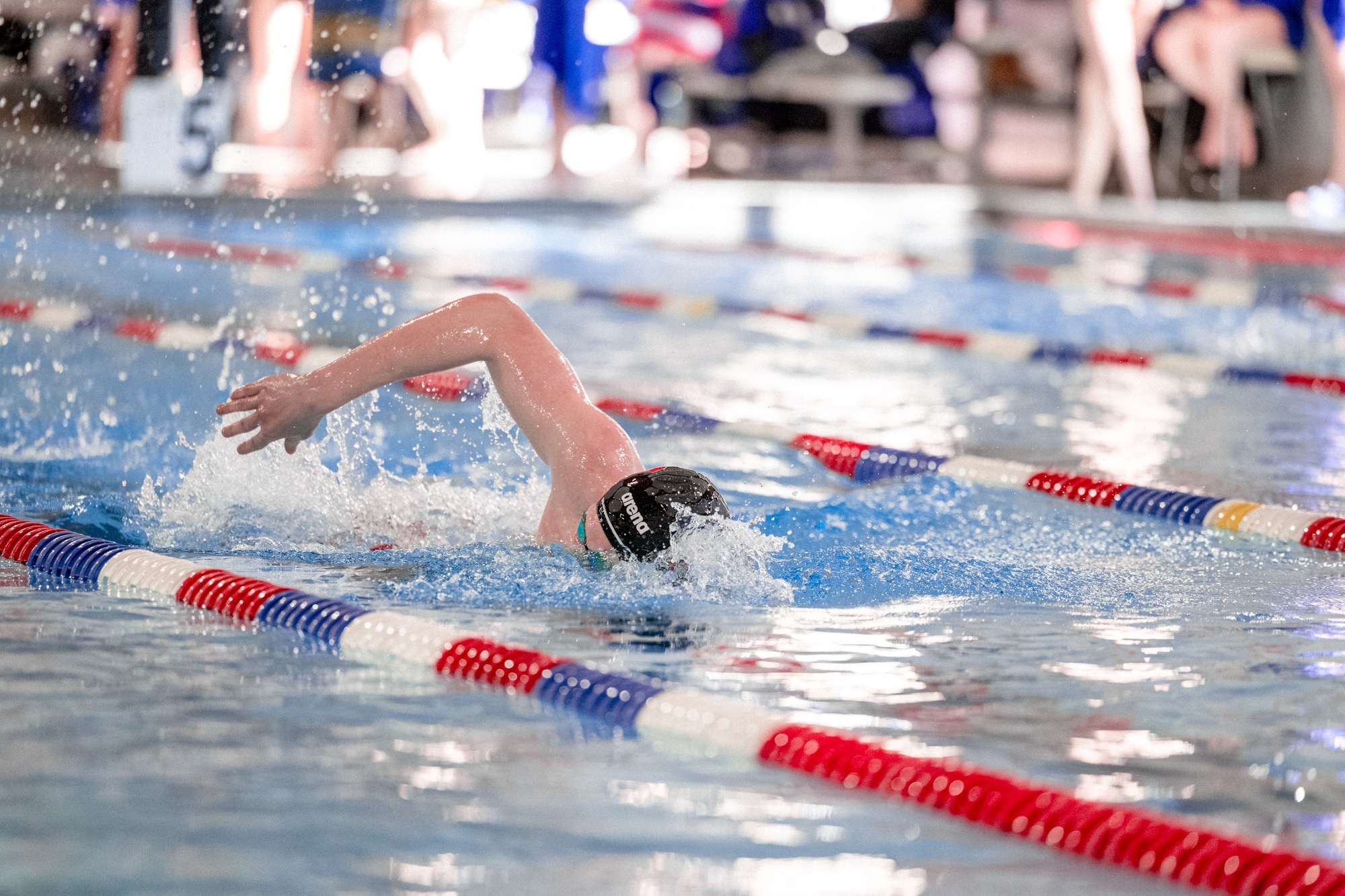 Dickinson Swimmer during 2026 Senior Day