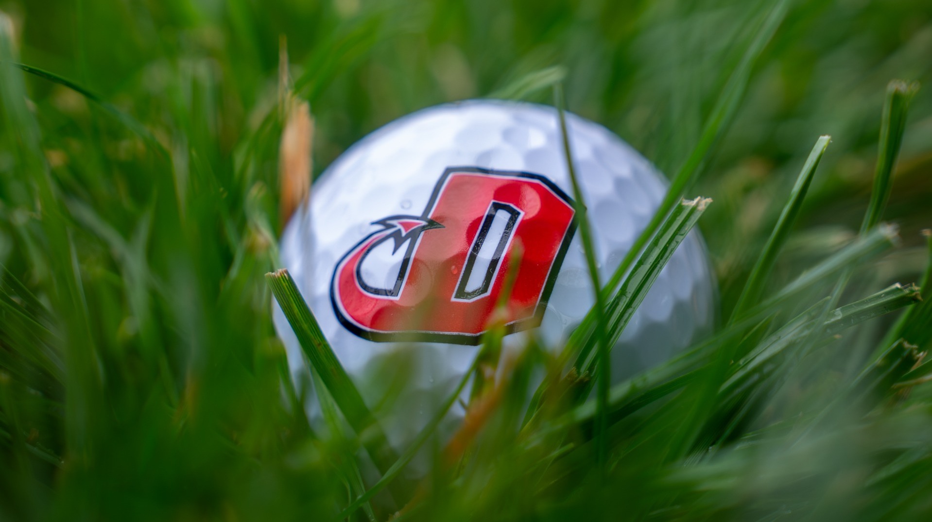 Dickinson golf ball sitting in the grass at Carlisle Barracks Golf Club during the 2025 McAndrews Golf Outing
