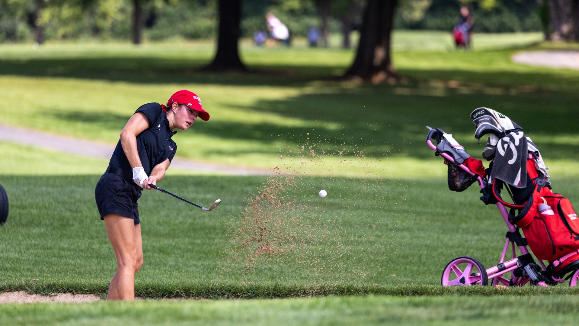 Women's golfer chipping out of the bunker during the Dickinson College Fall Invite on 9-13-26