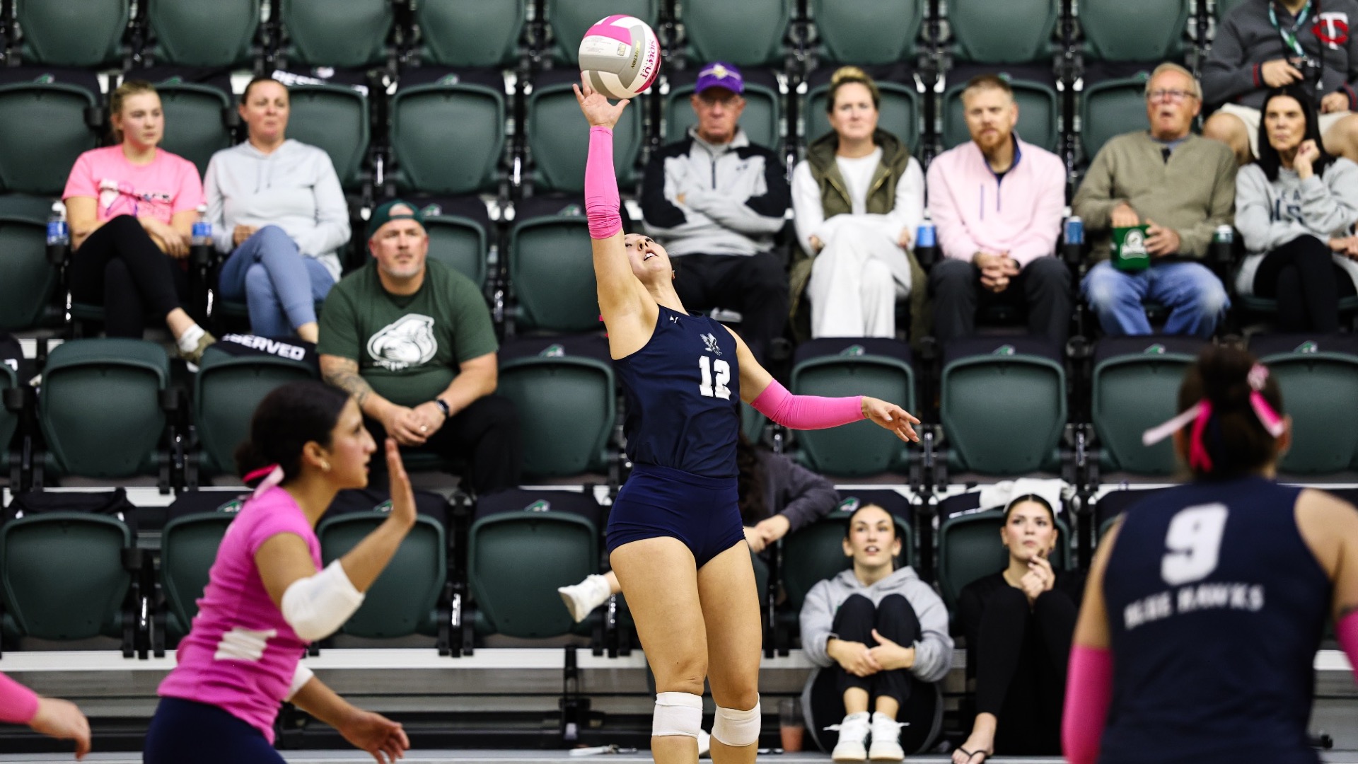 Dickinson State volleyball