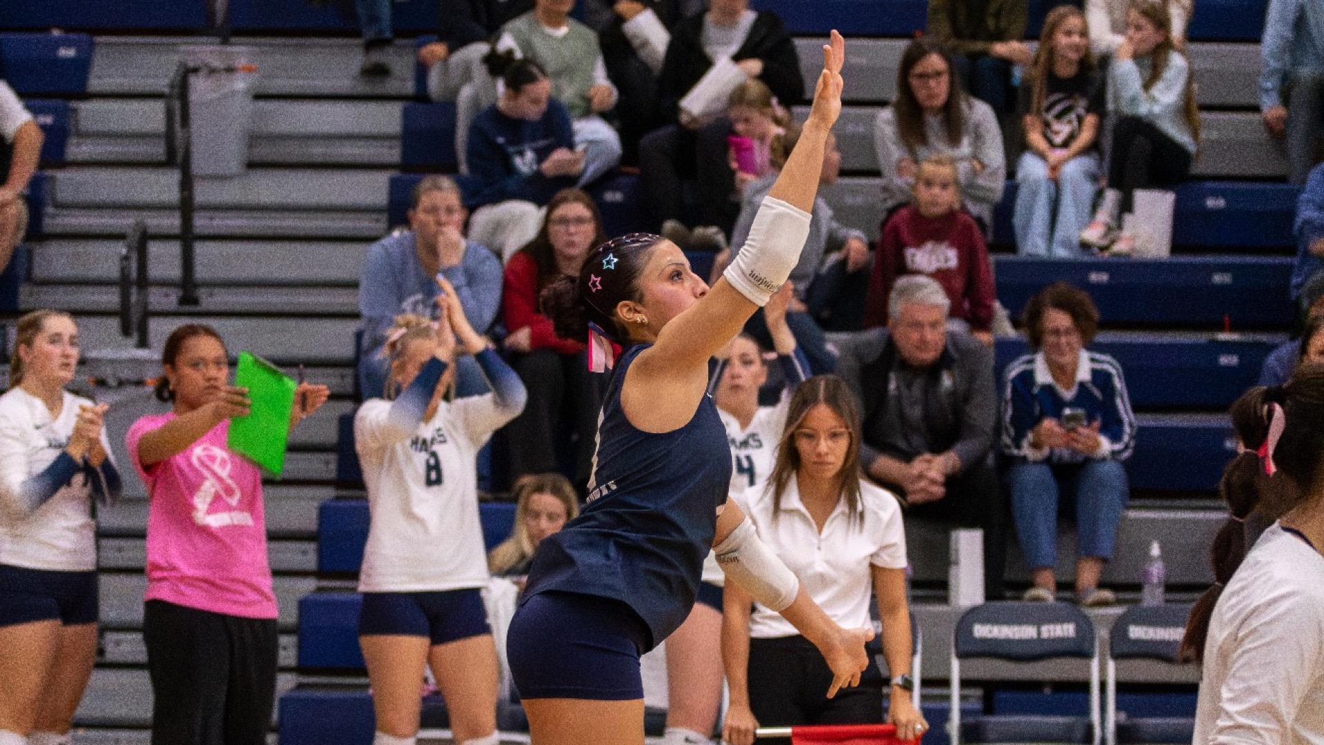 DSU Volleyball