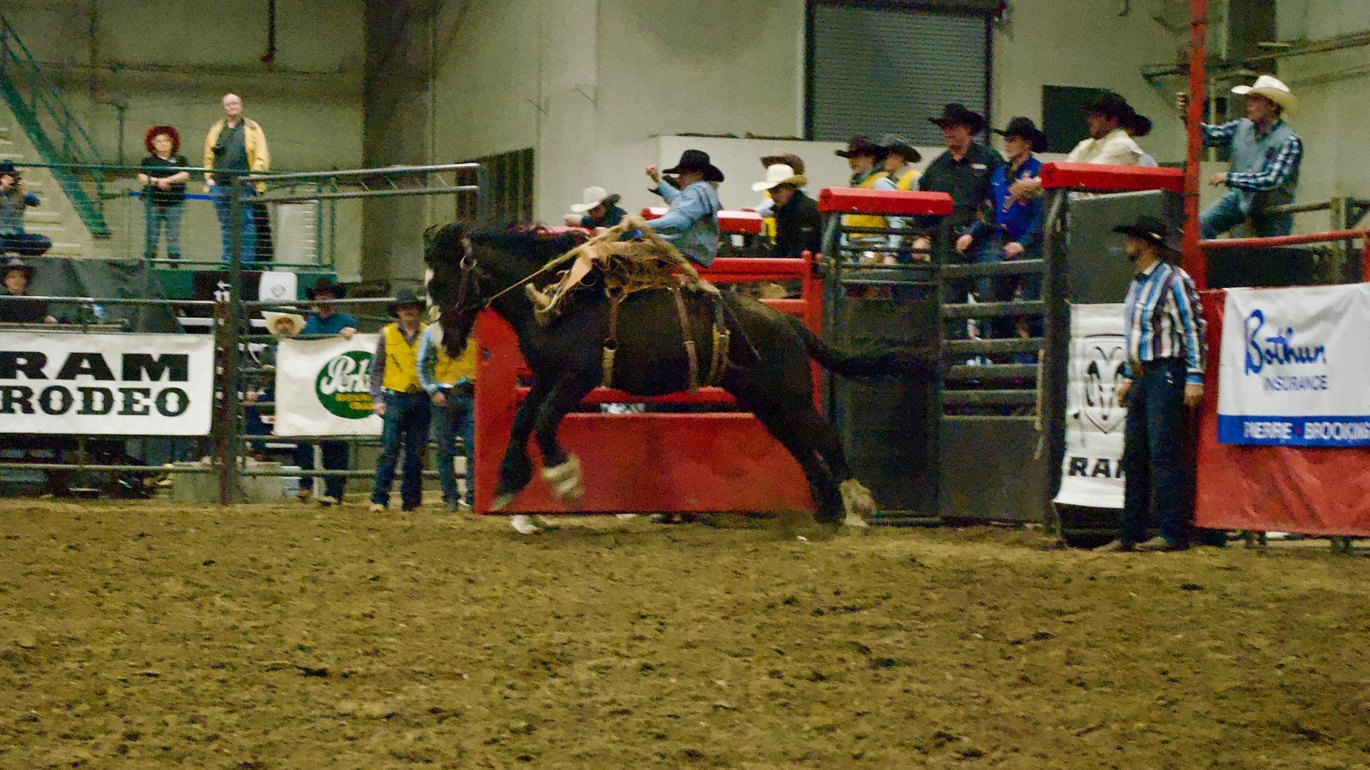 Rodeo Action Shot
