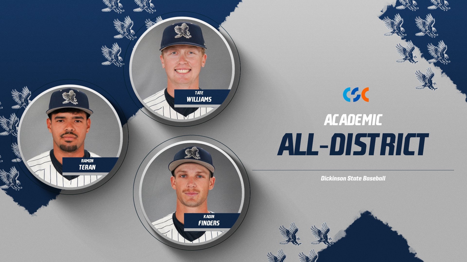 Baseball All-Academic
