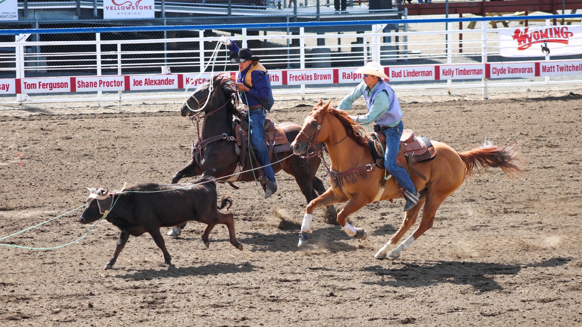 Dickinson State Rodeo in Cody, Wyoming 
